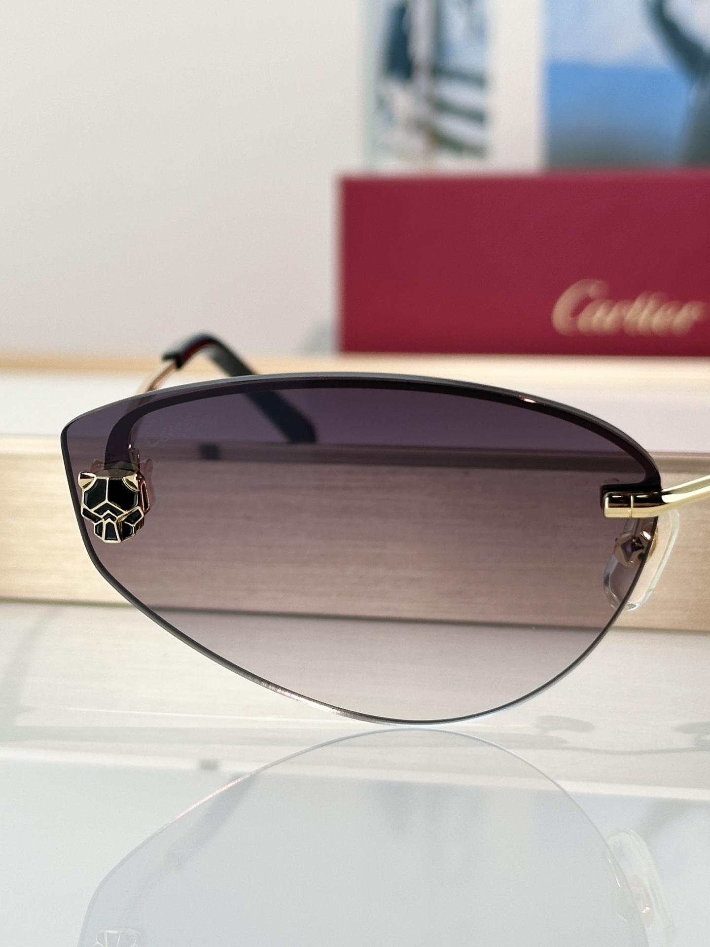 Designer Sunglasses CT0431S