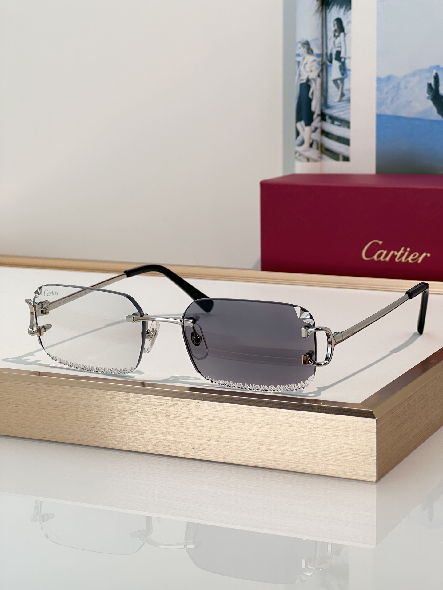 Designer Sunglasses CT0801S