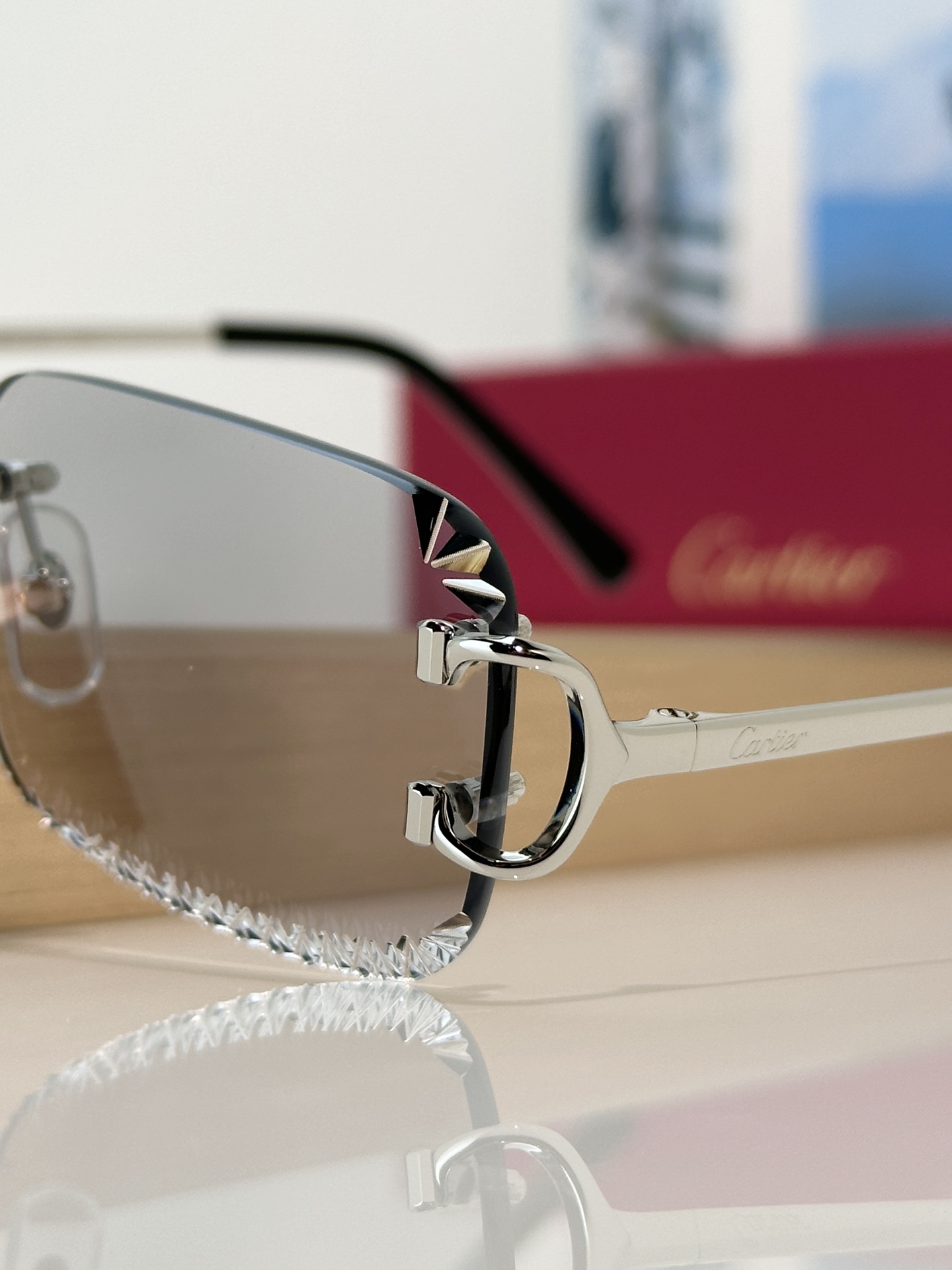 Designer Sunglasses CT0801S