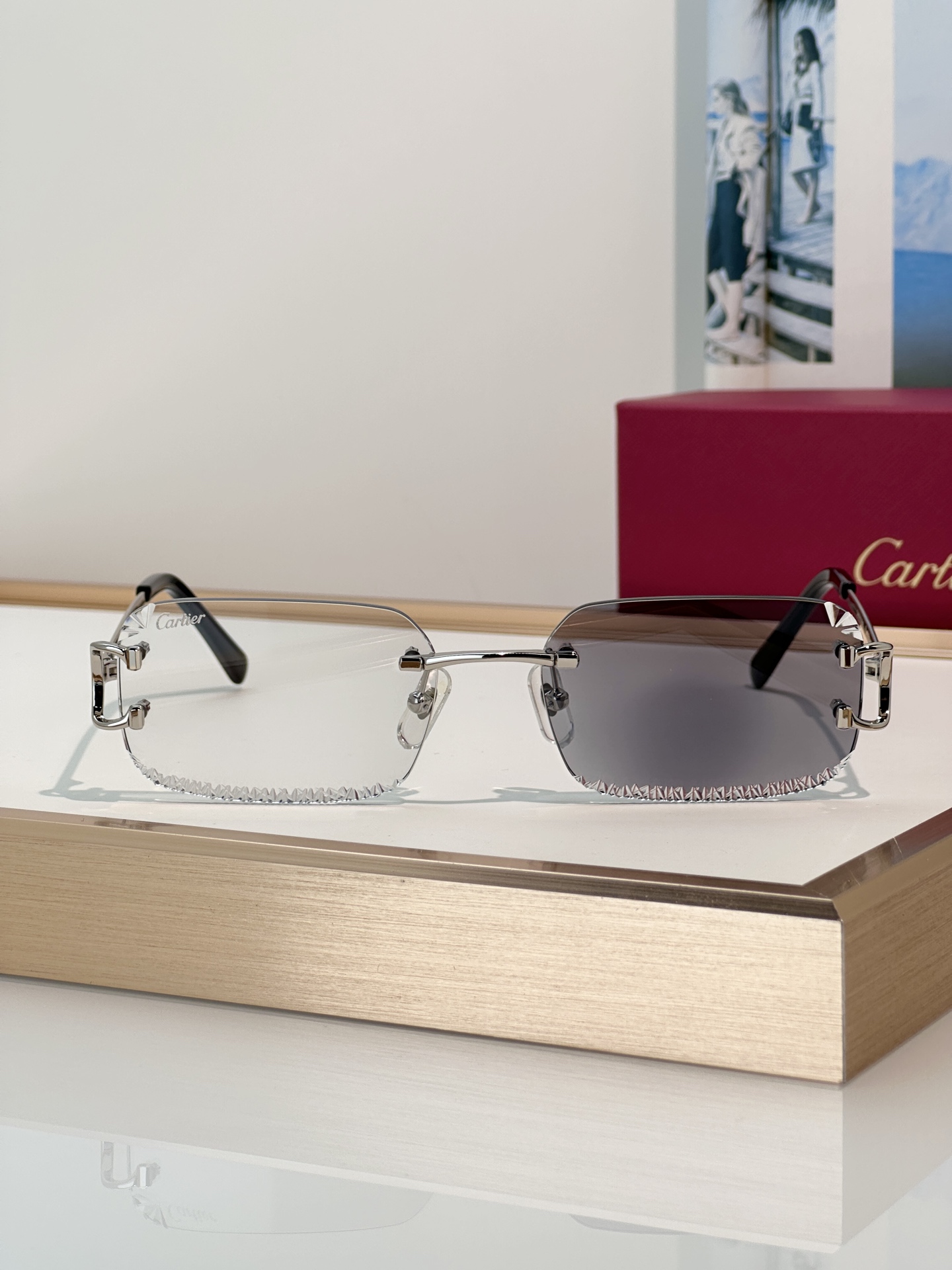 Designer Sunglasses CT0801S