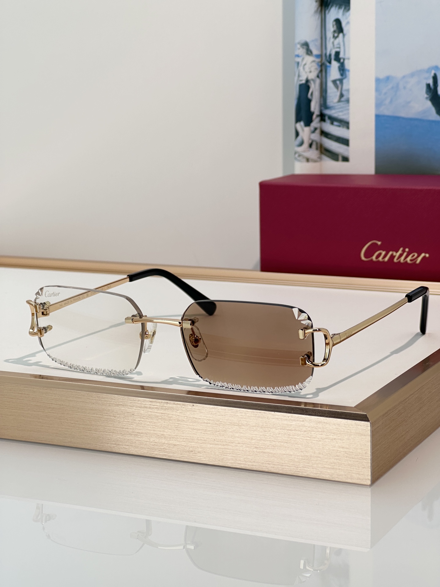 Designer Sunglasses CT0801S