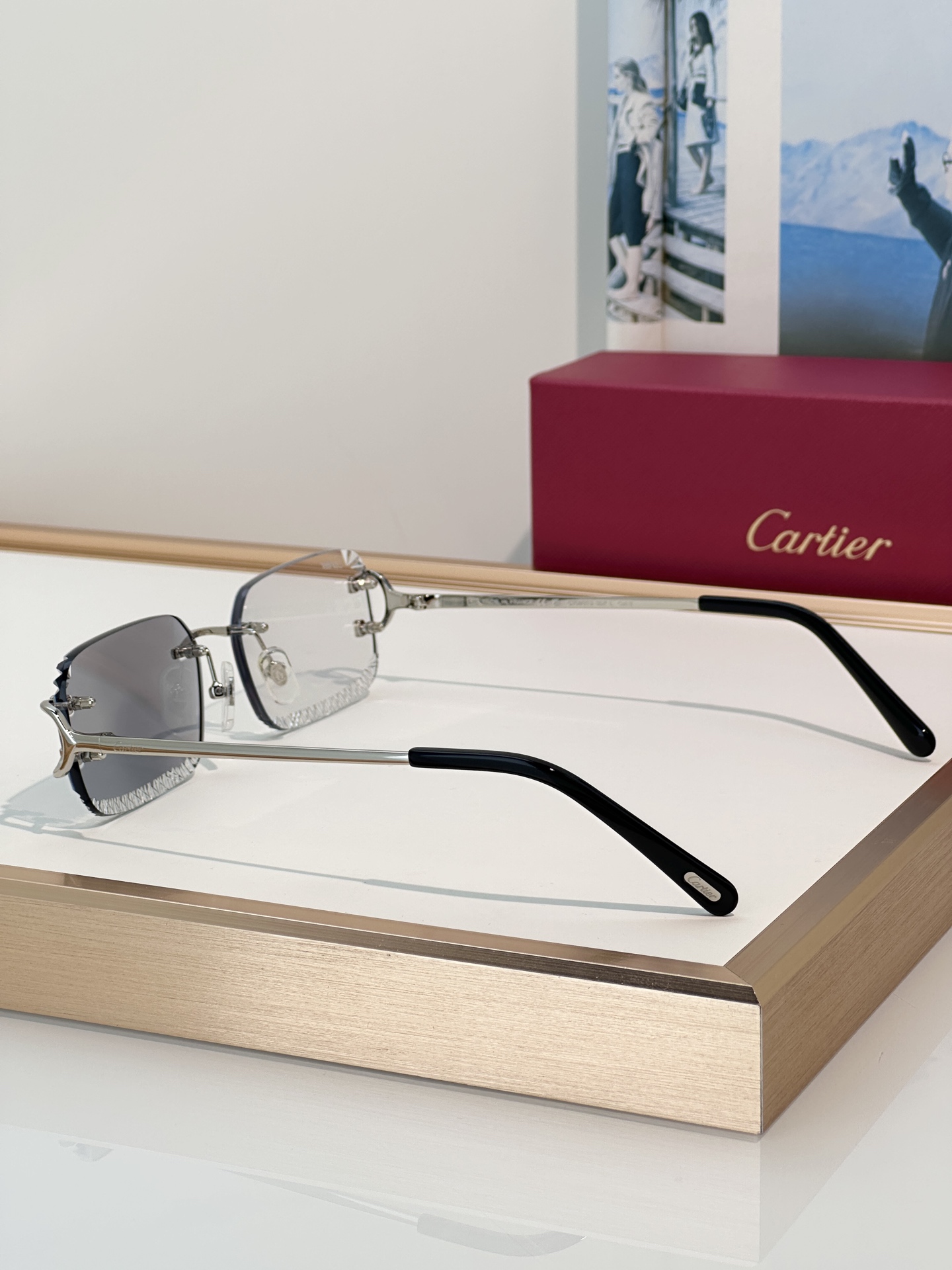 Designer Sunglasses CT0801S