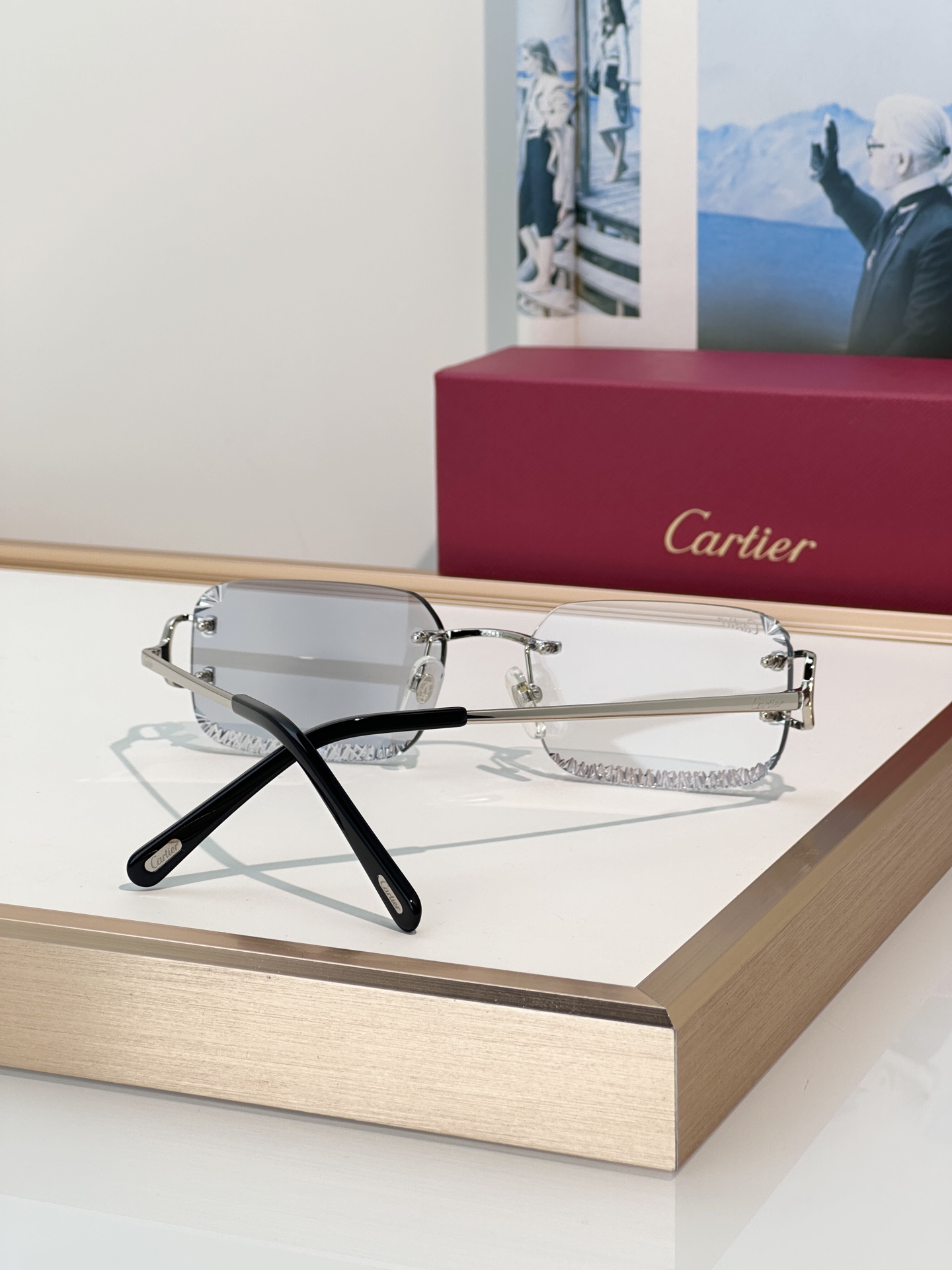 Designer Sunglasses CT0801S