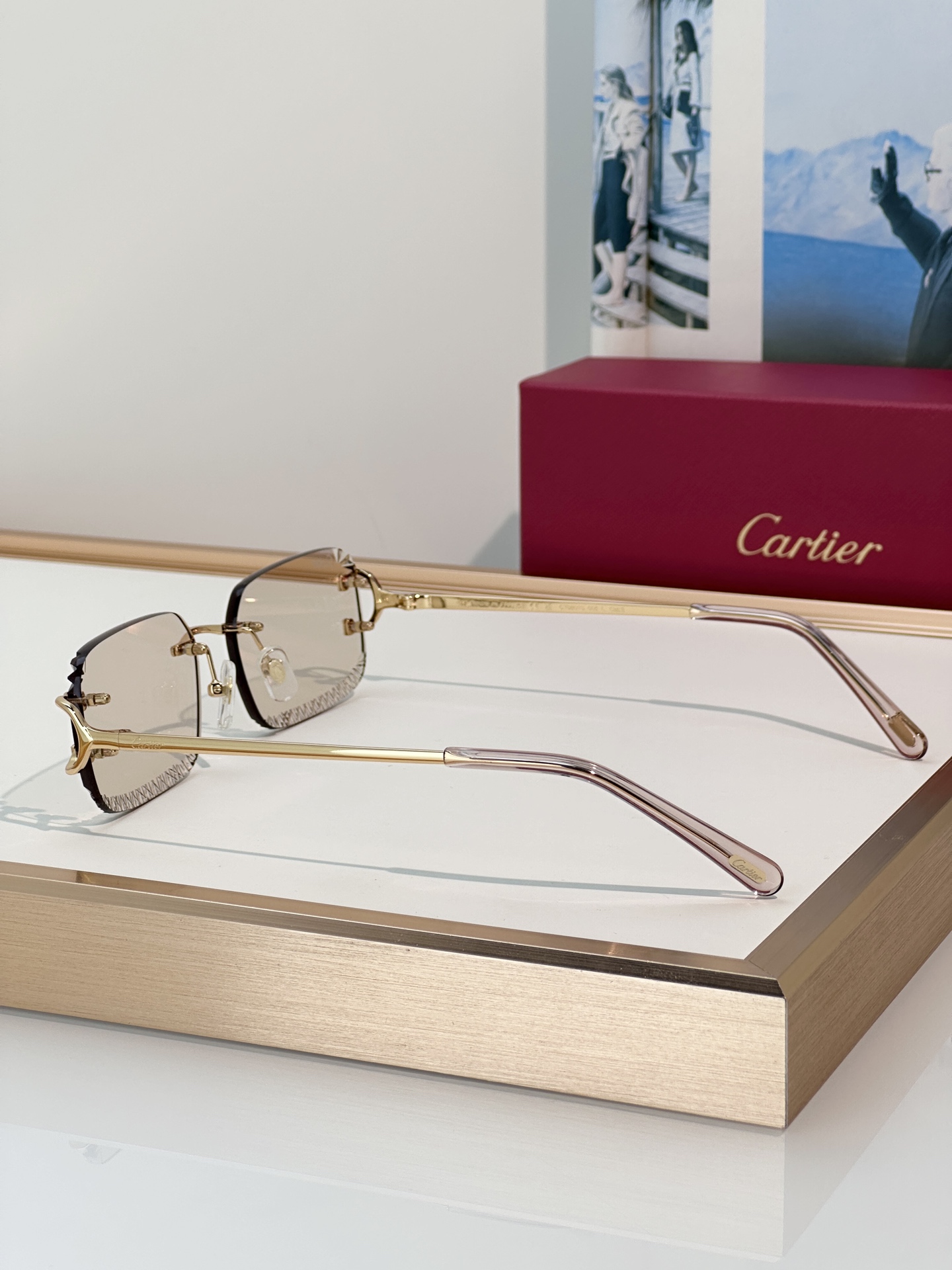 Designer Sunglasses CT0801S
