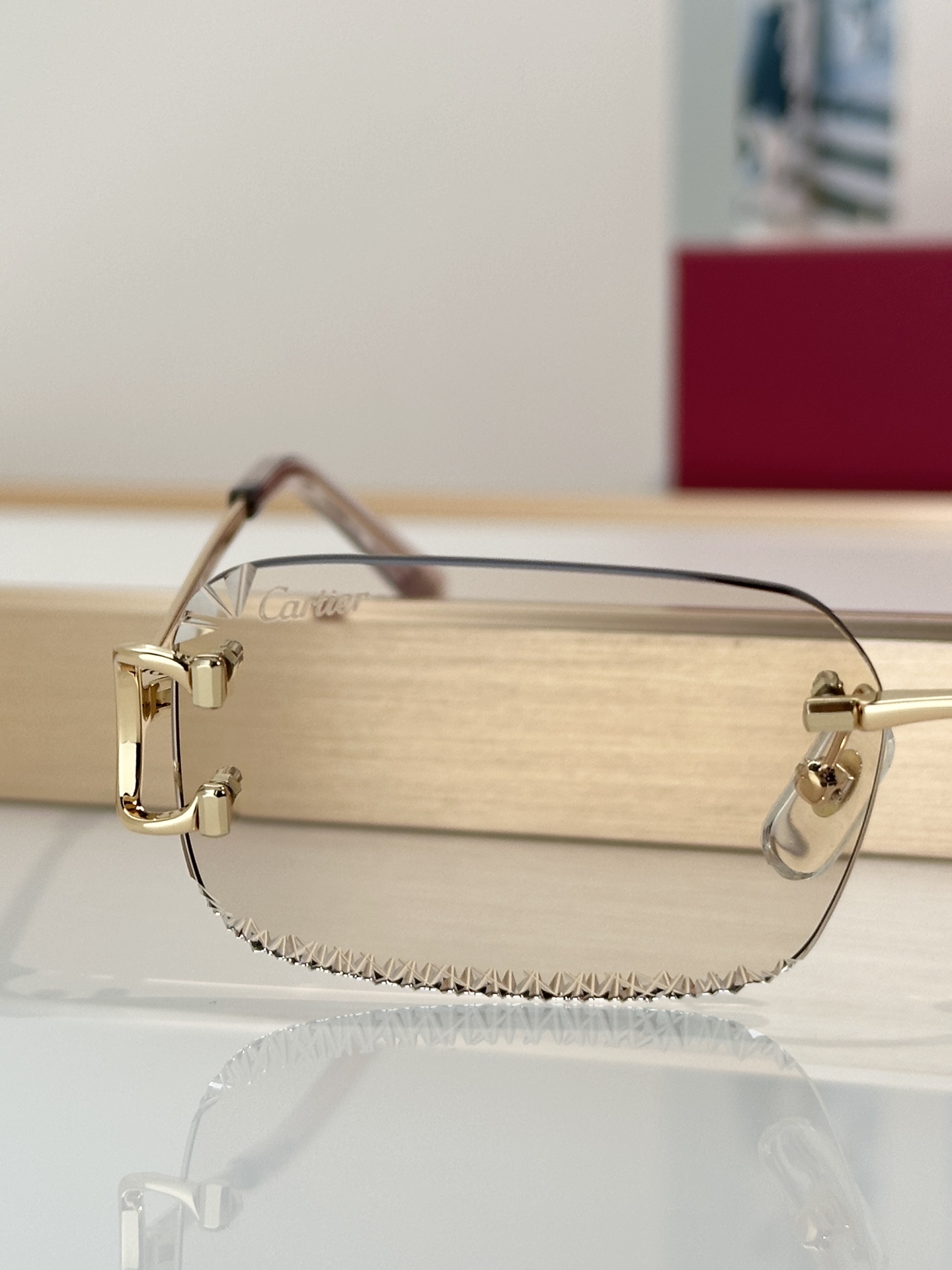 Designer Sunglasses CT0801S