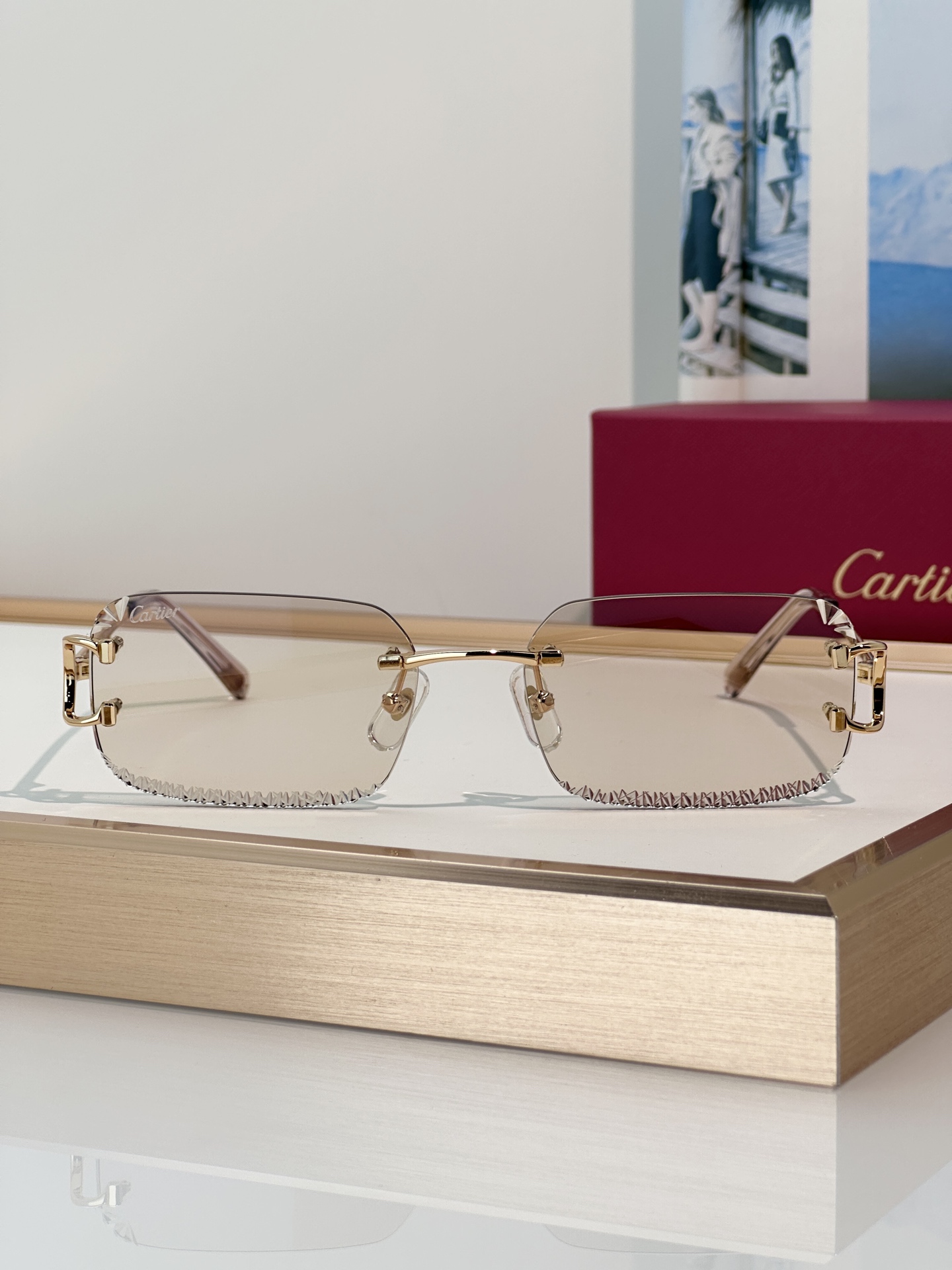 Designer Sunglasses CT0801S