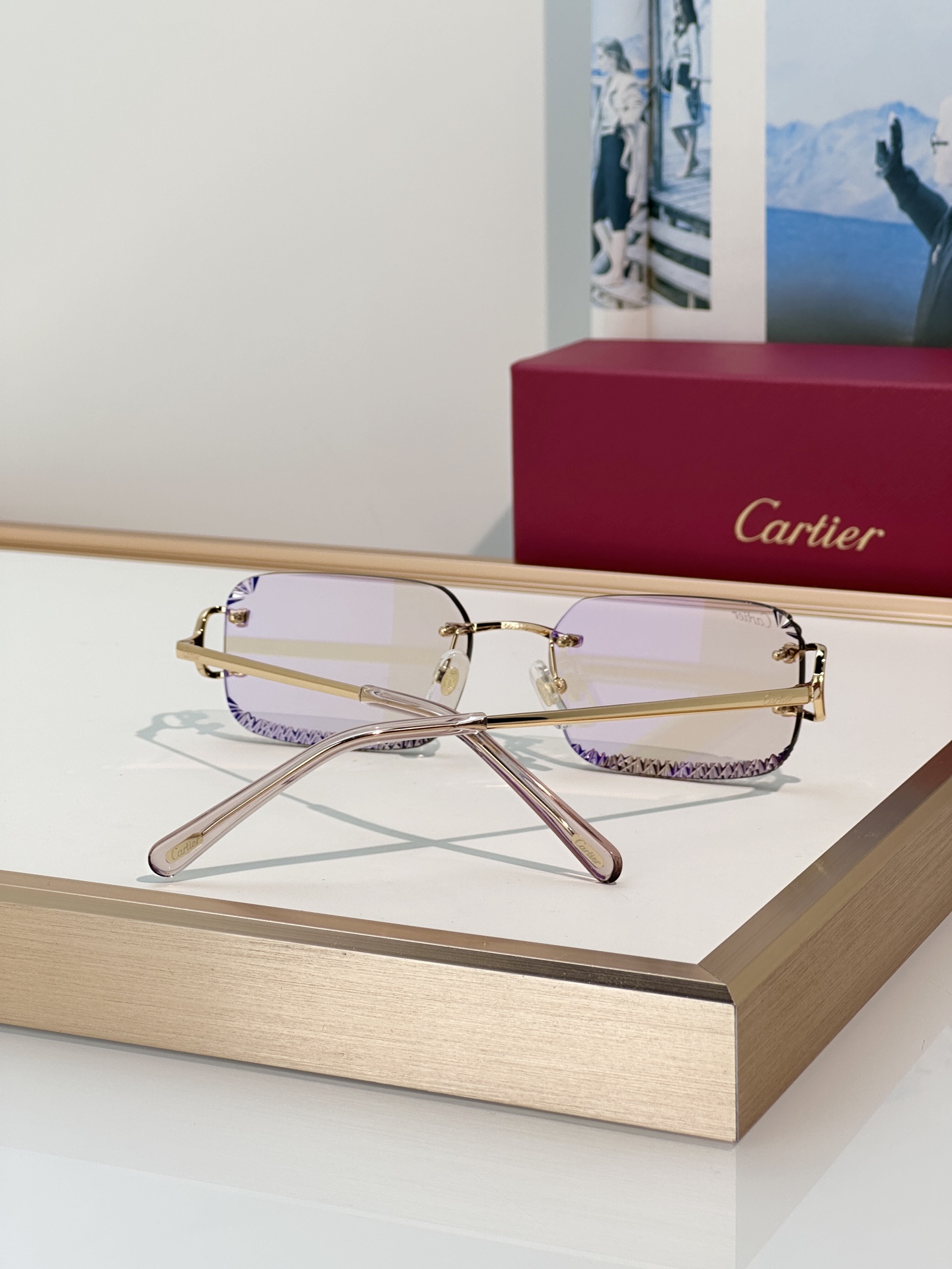 Designer Sunglasses CT0801S