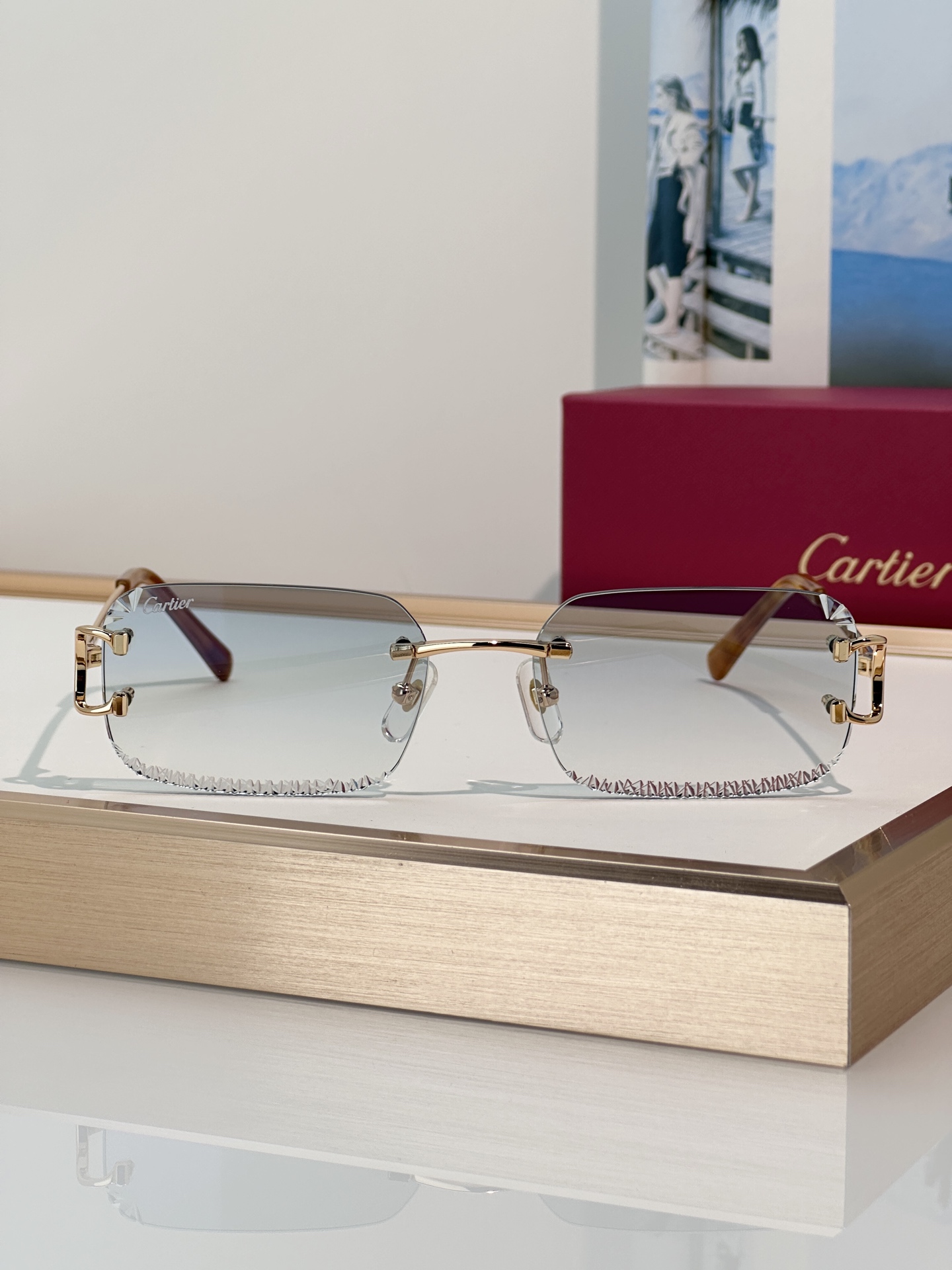 Designer Sunglasses CT0801S