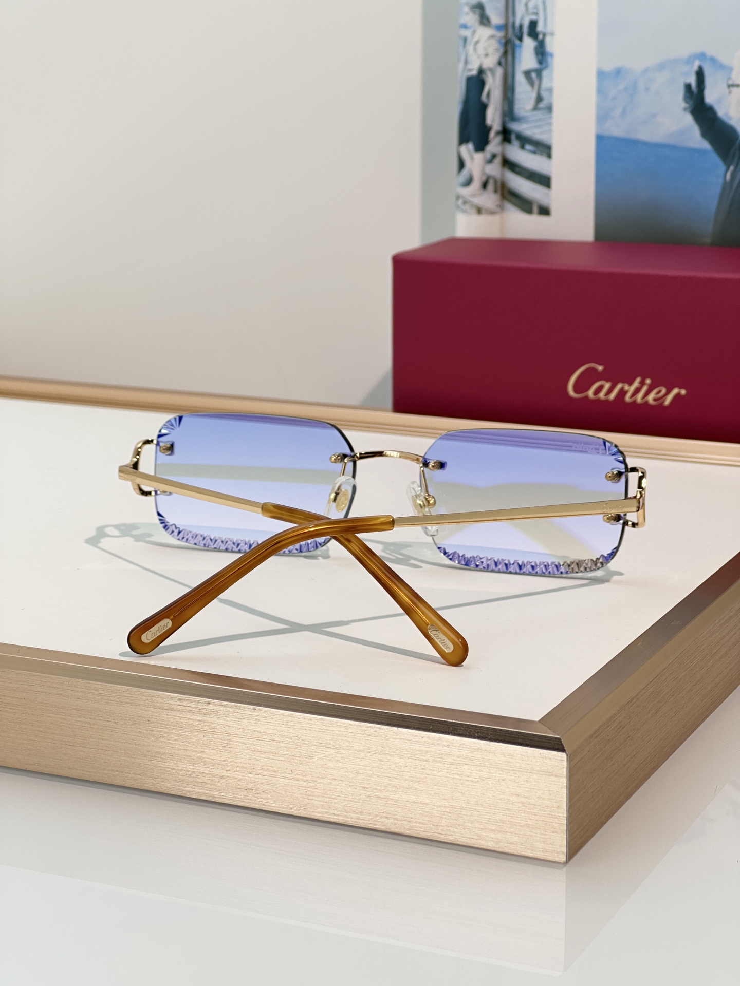 Designer Sunglasses CT0801S