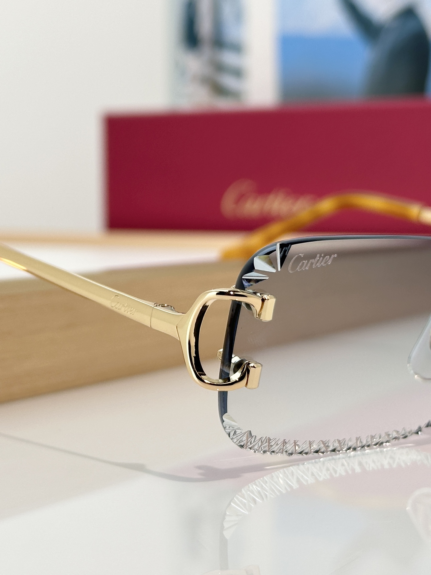 Designer Sunglasses CT0801S