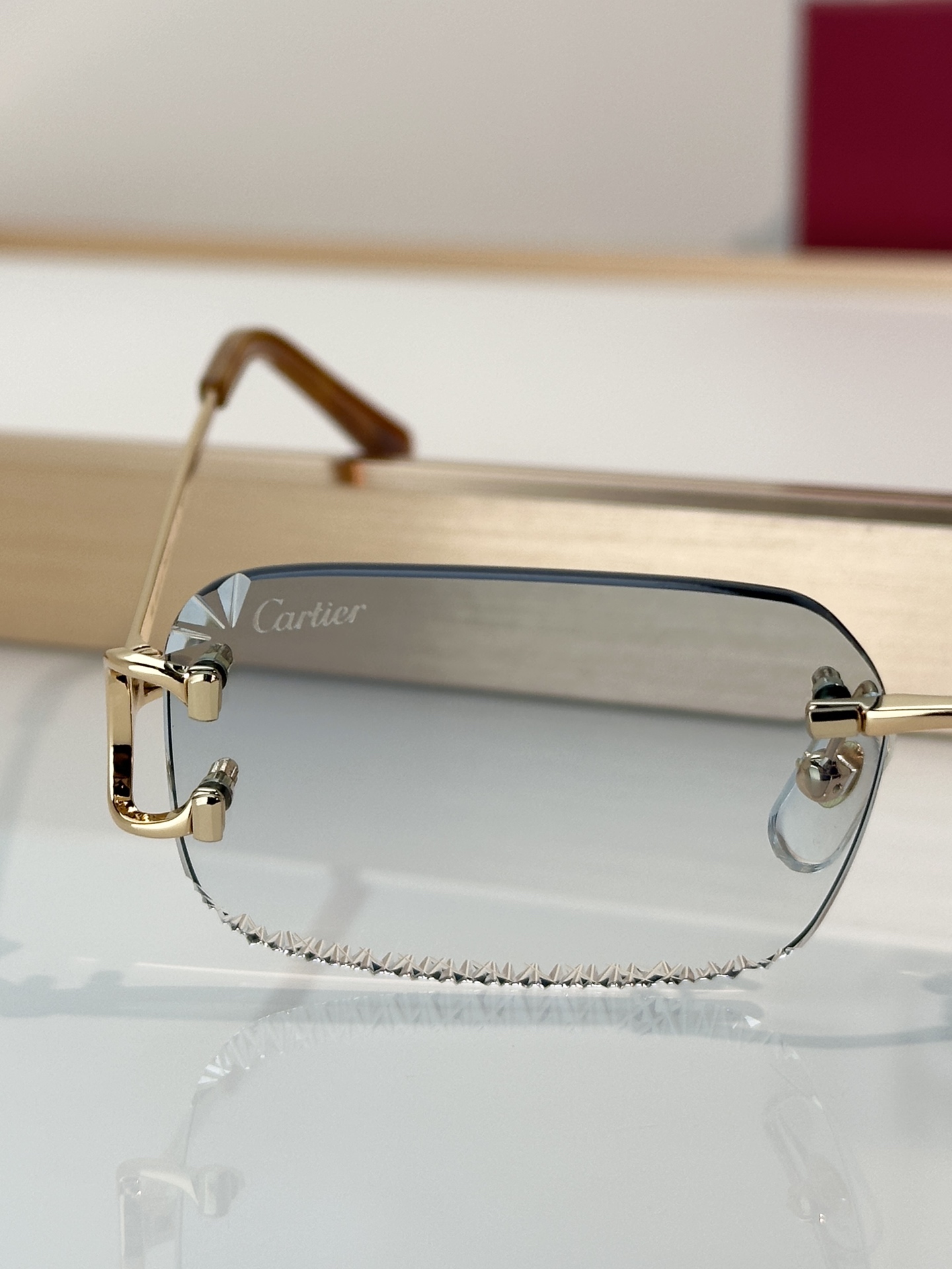 Designer Sunglasses CT0801S
