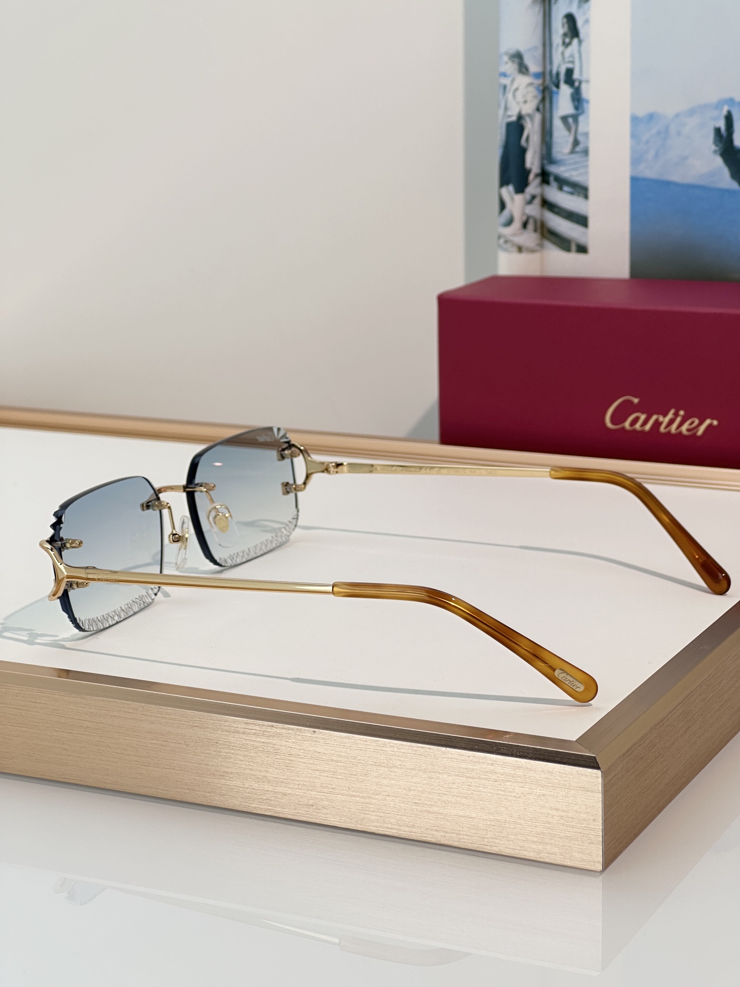 Designer Sunglasses CT0801S