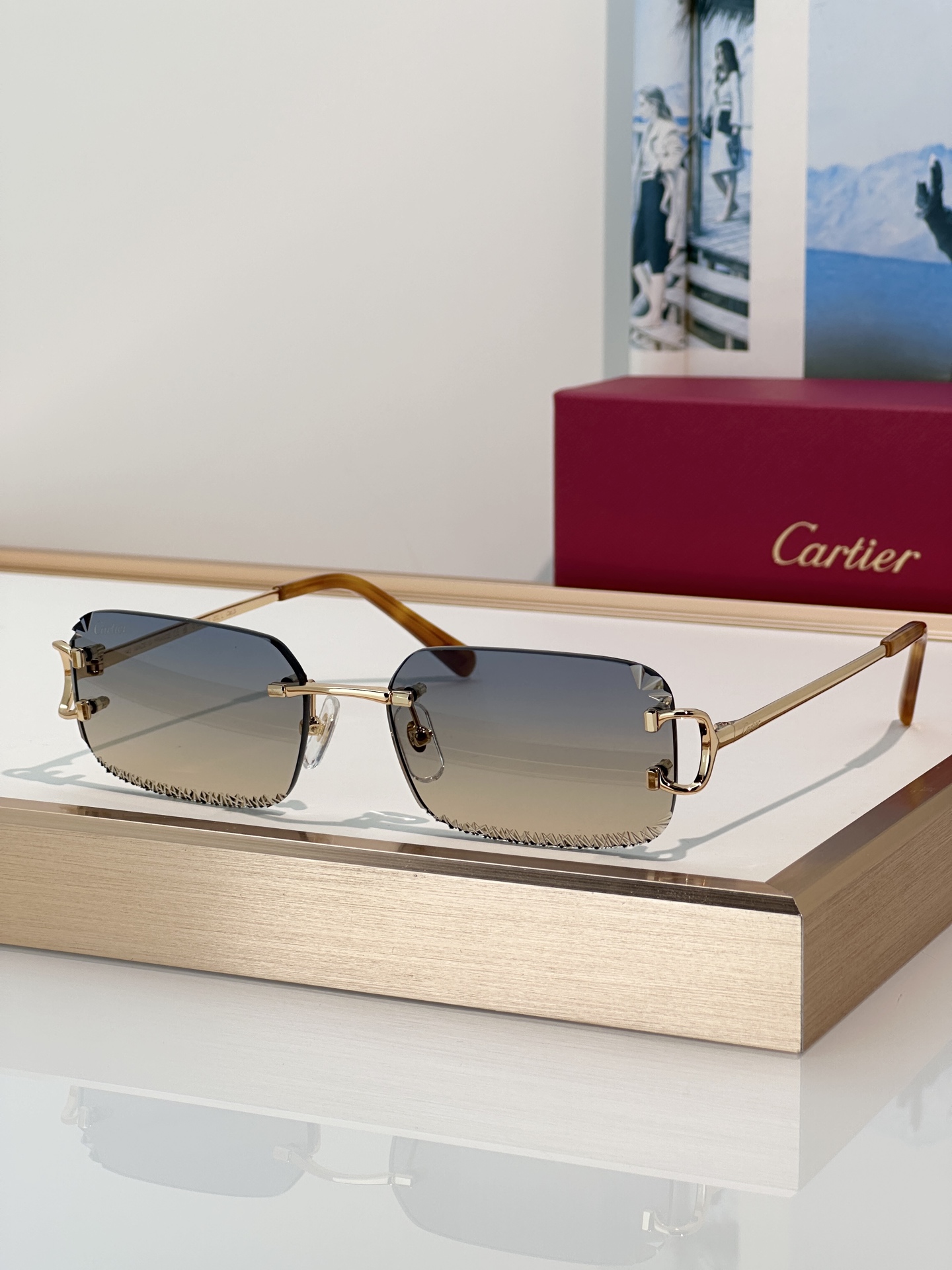 Designer Sunglasses CT0801S