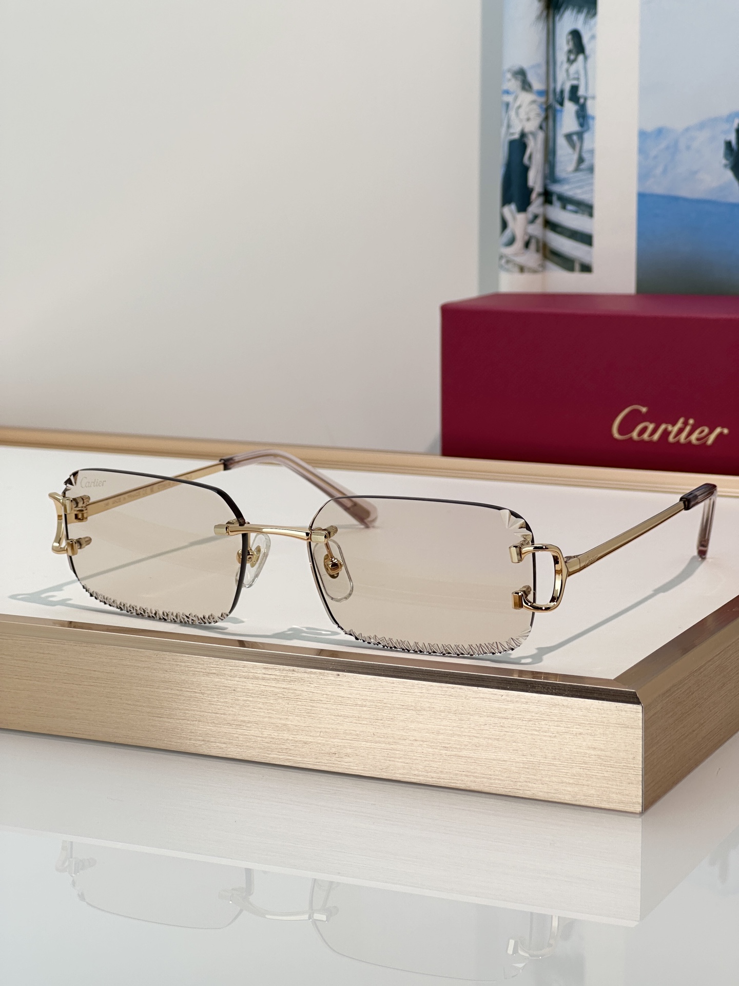 Designer Sunglasses CT0801S