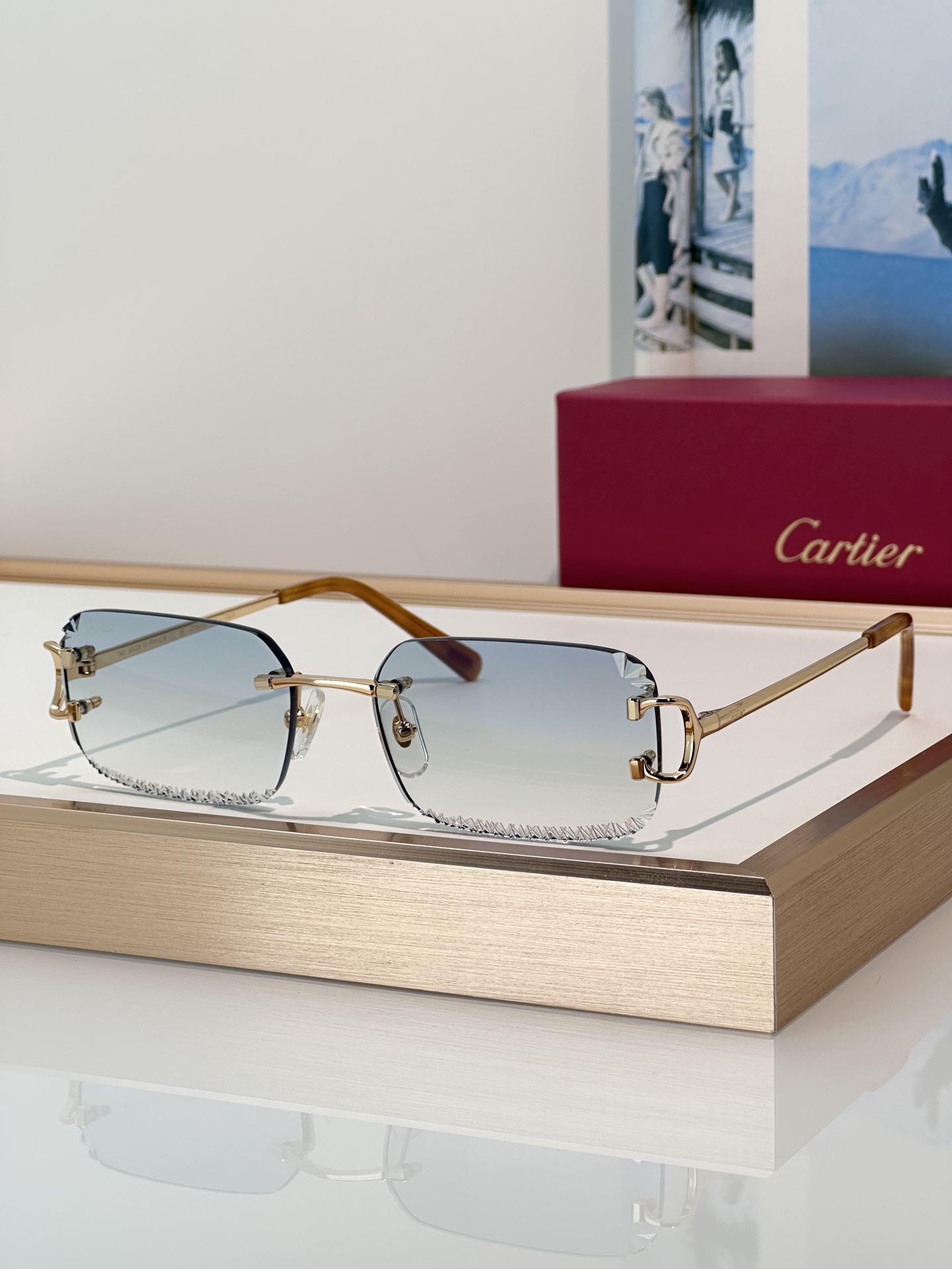 Designer Sunglasses CT0801S