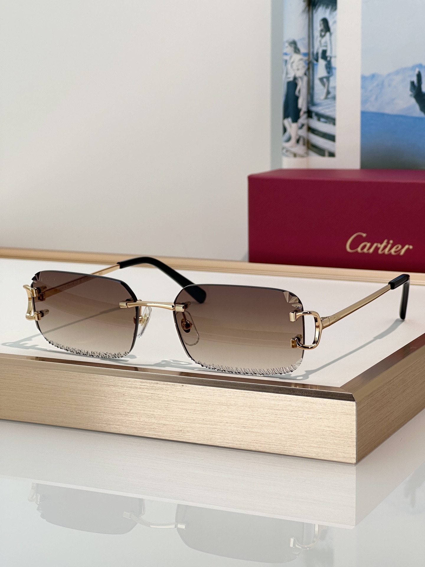 Designer Sunglasses CT0801S