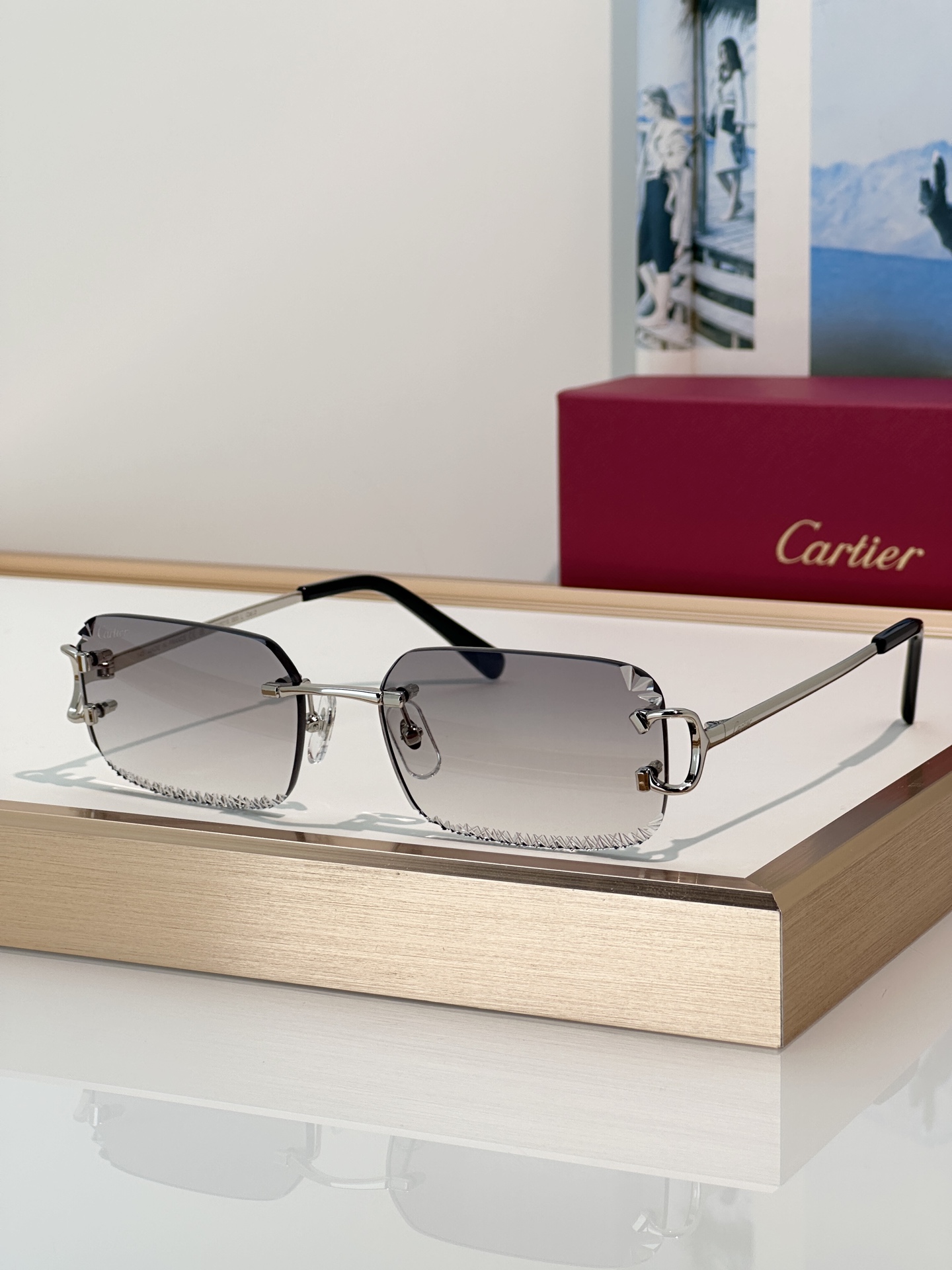 Designer Sunglasses CT0801S