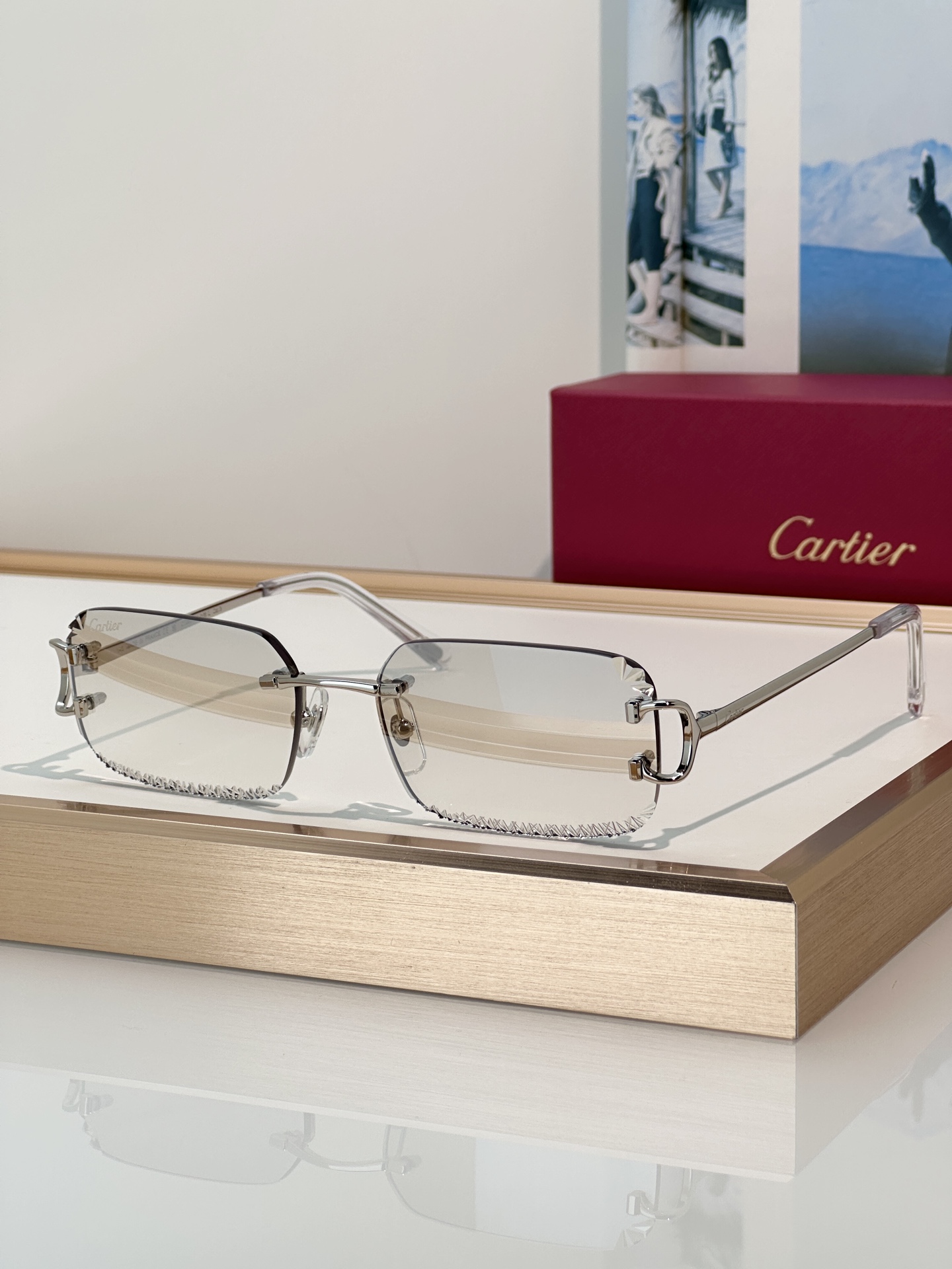 Designer Sunglasses CT0801S