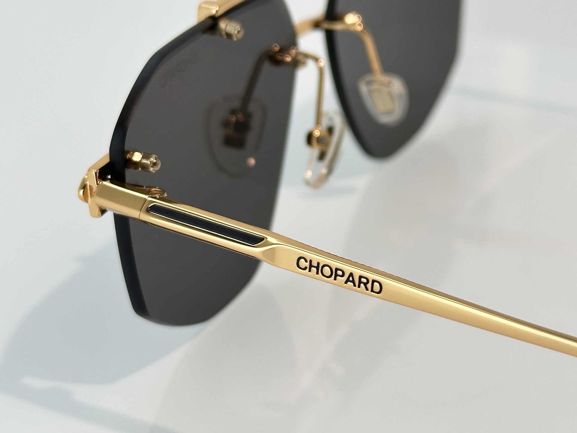 Designer Sunglasses SCHL23