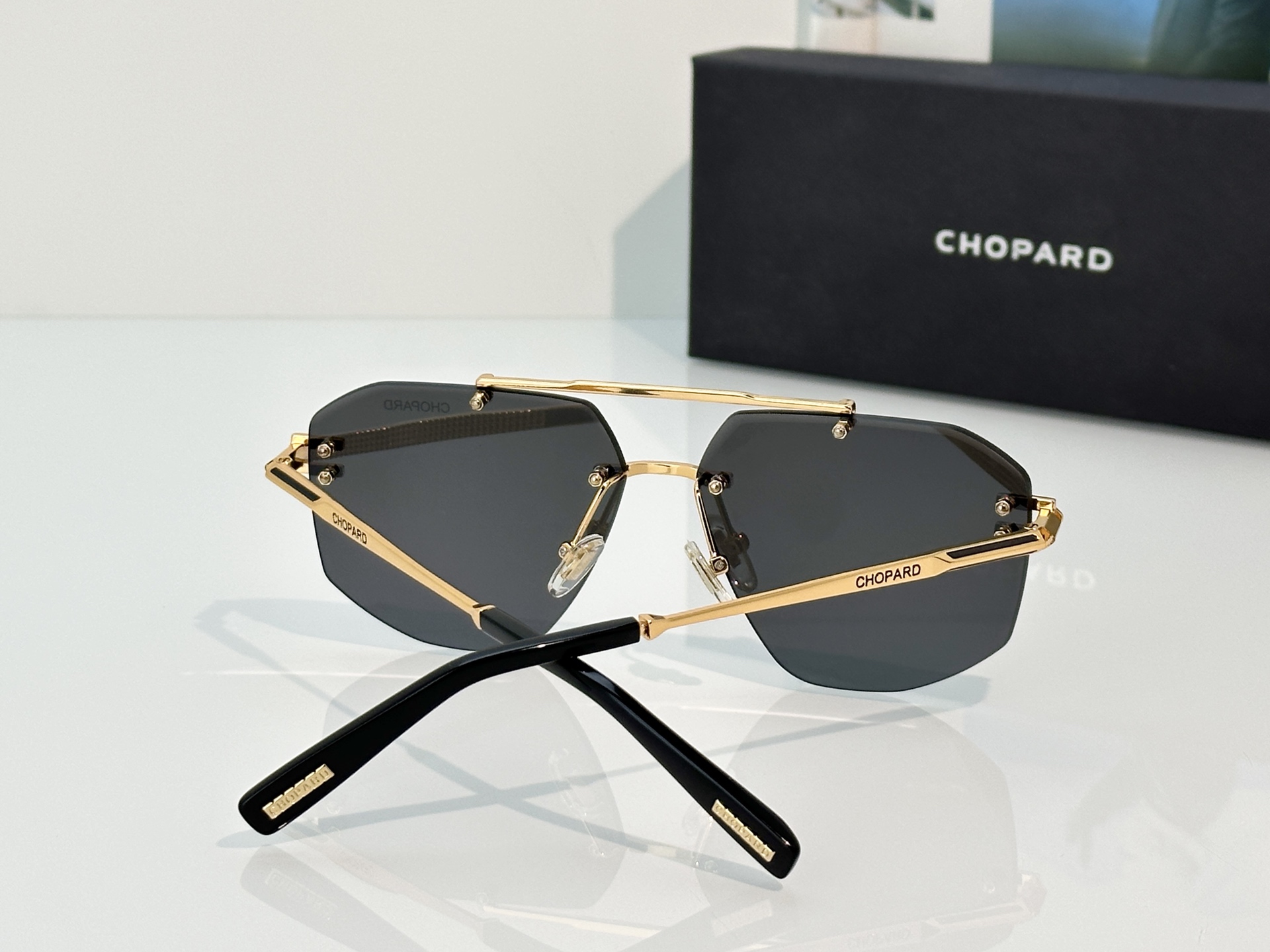 Designer Sunglasses SCHL23