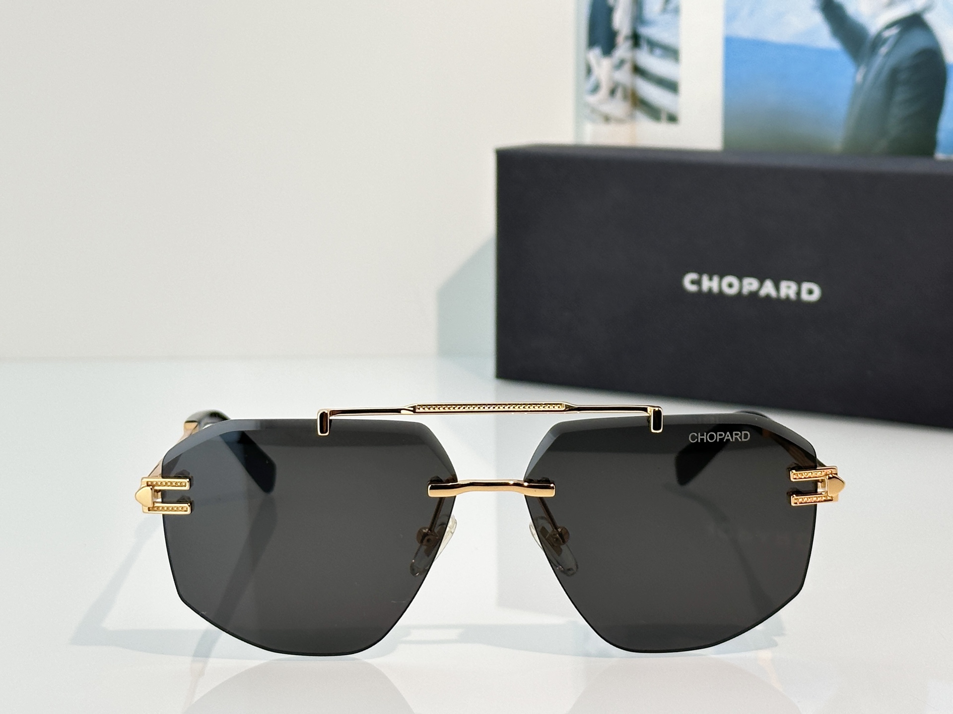 Designer Sunglasses SCHL23