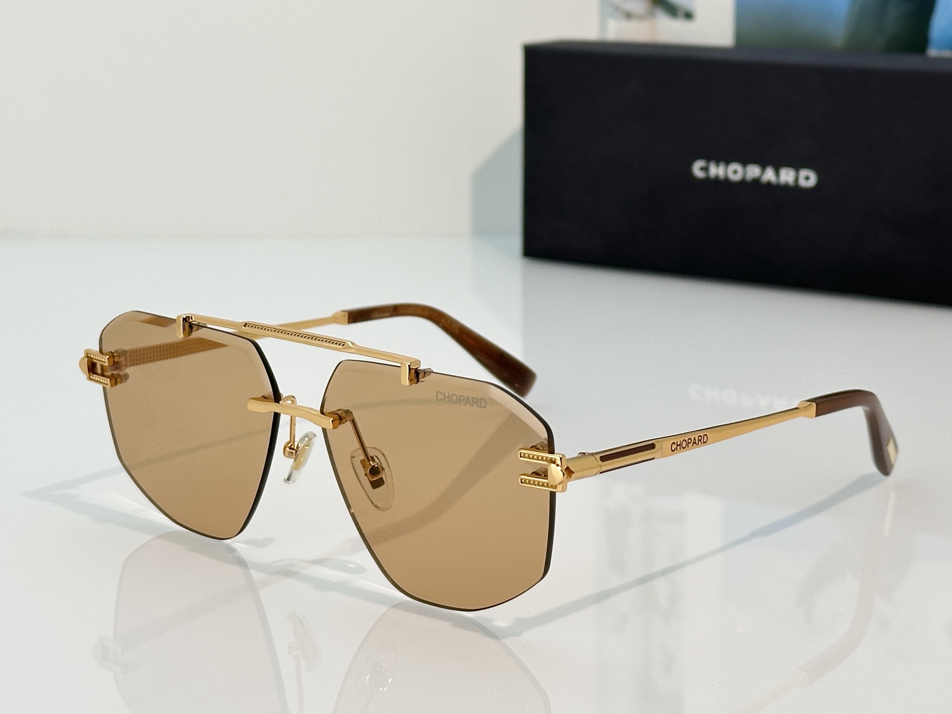 Designer Sunglasses SCHL23