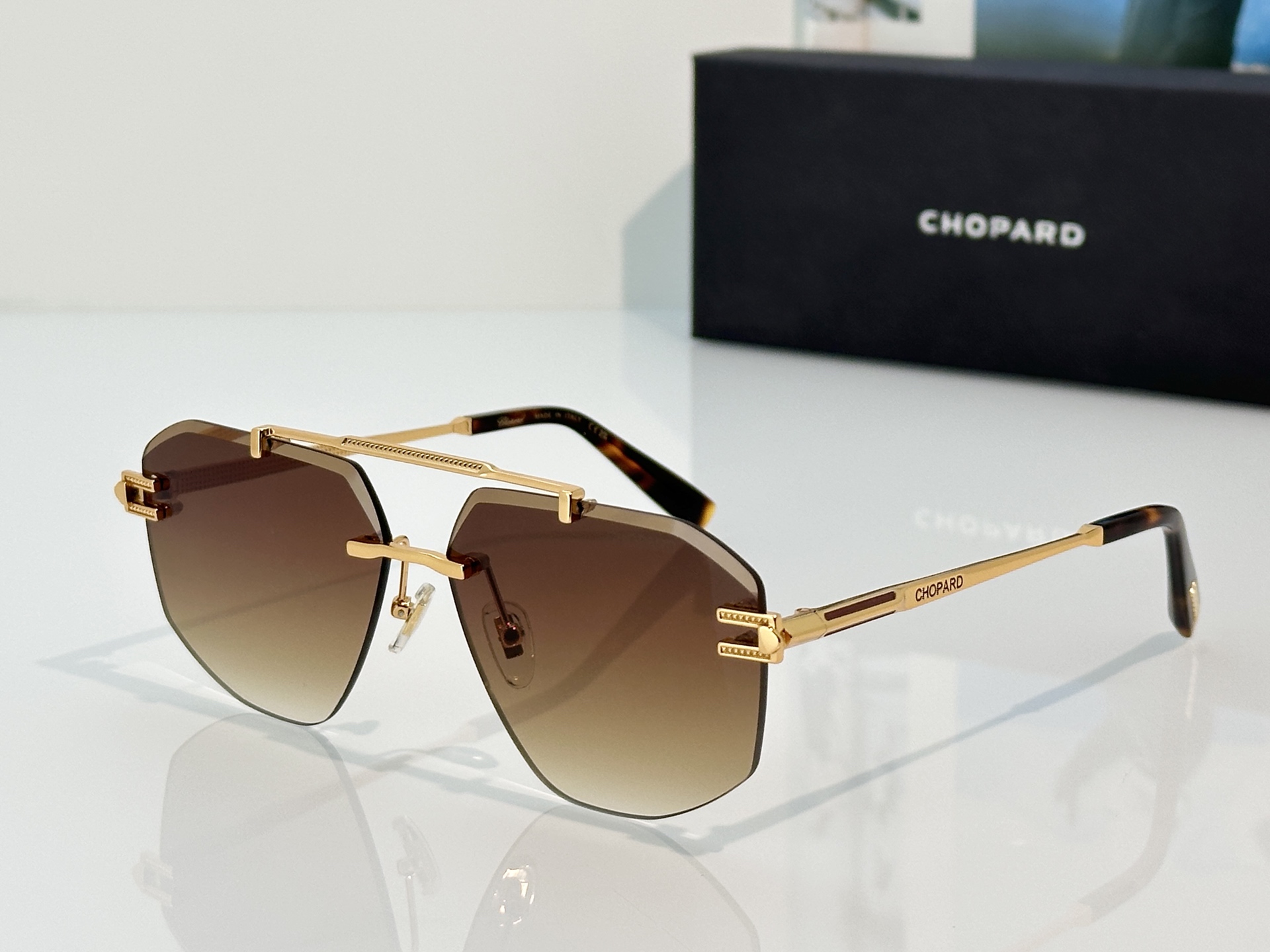 Designer Sunglasses SCHL23