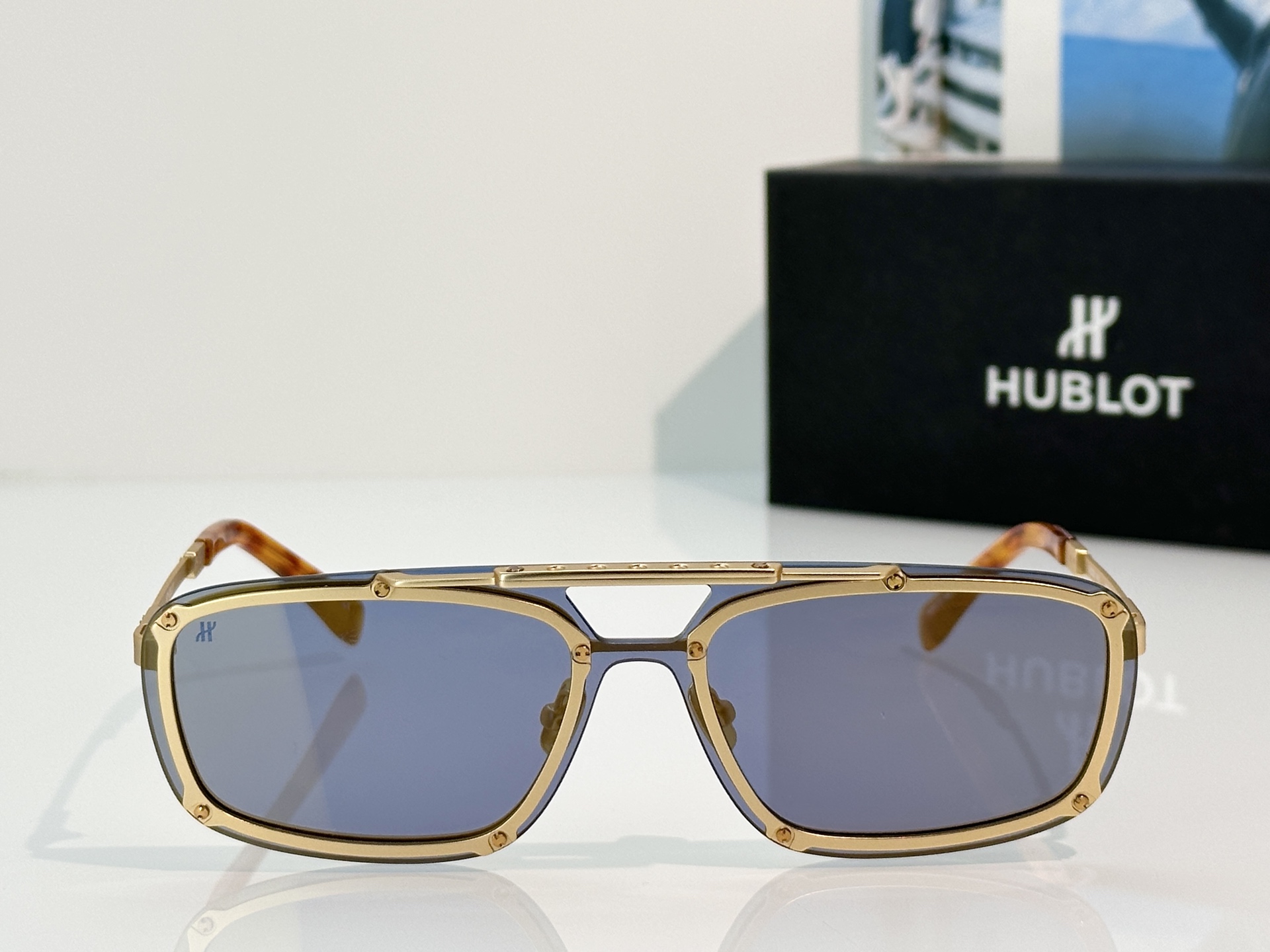 Designer Sunglasses H040