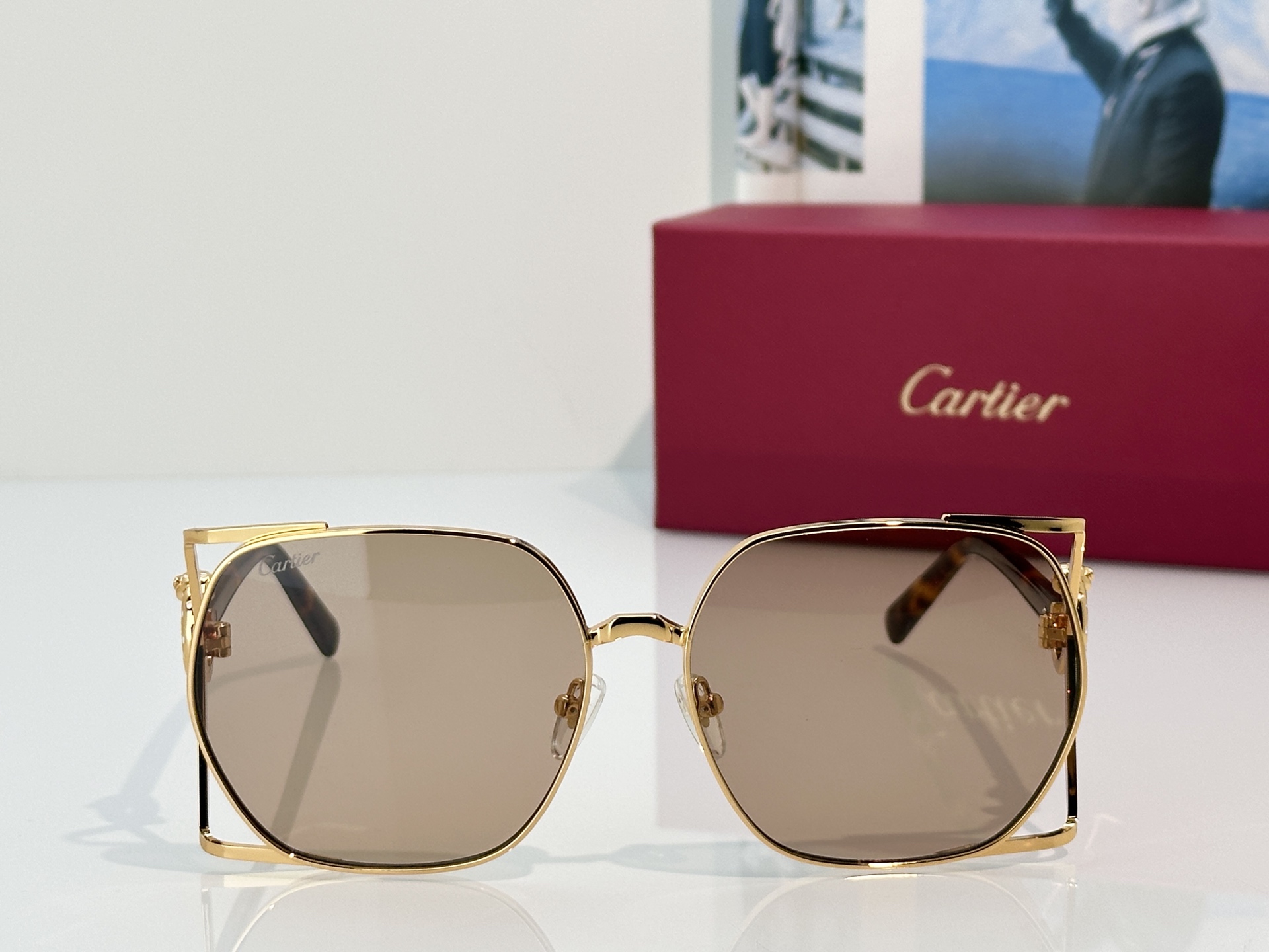 Designer Sunglasses CT7197S