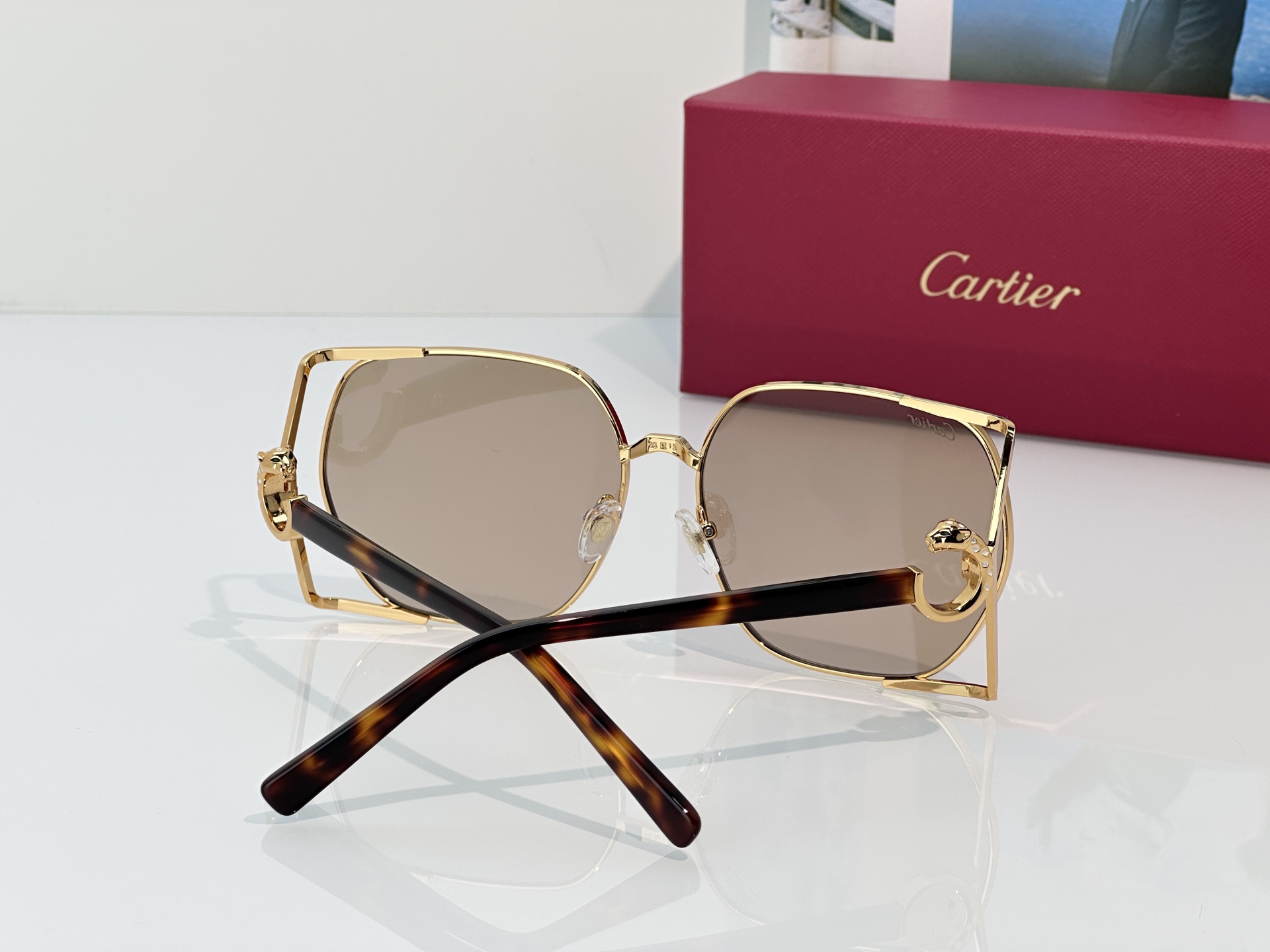 Designer Sunglasses CT7197S