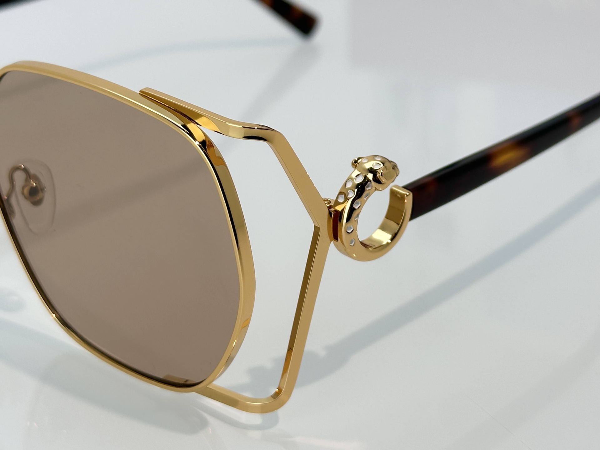 Designer Sunglasses CT7197S