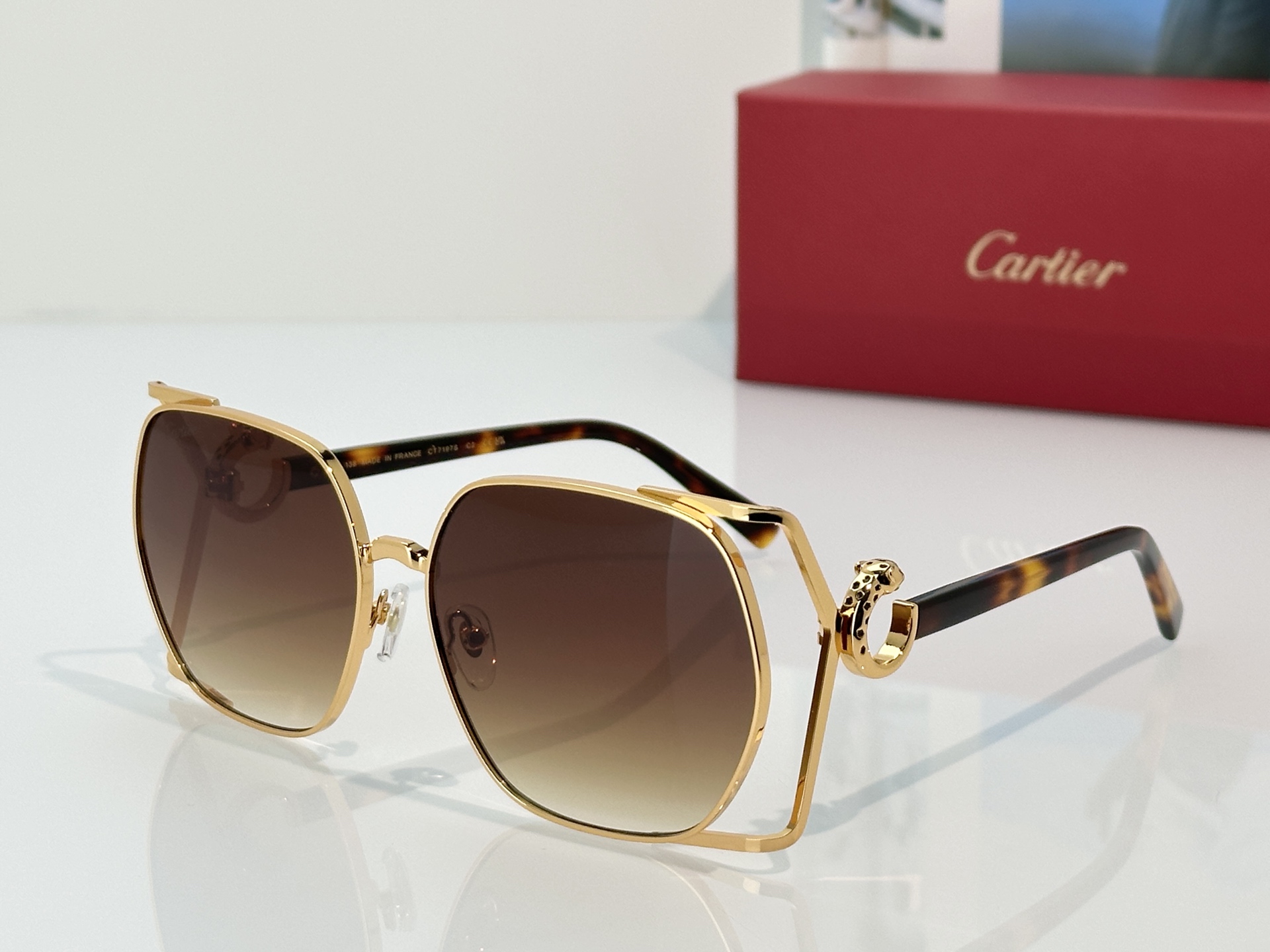 Designer Sunglasses CT7197S