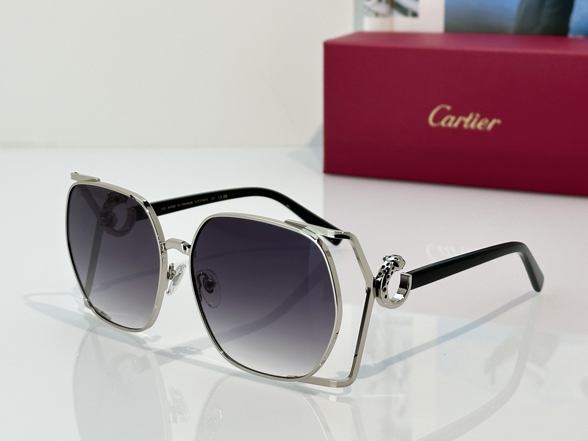 Designer Sunglasses CT7197S