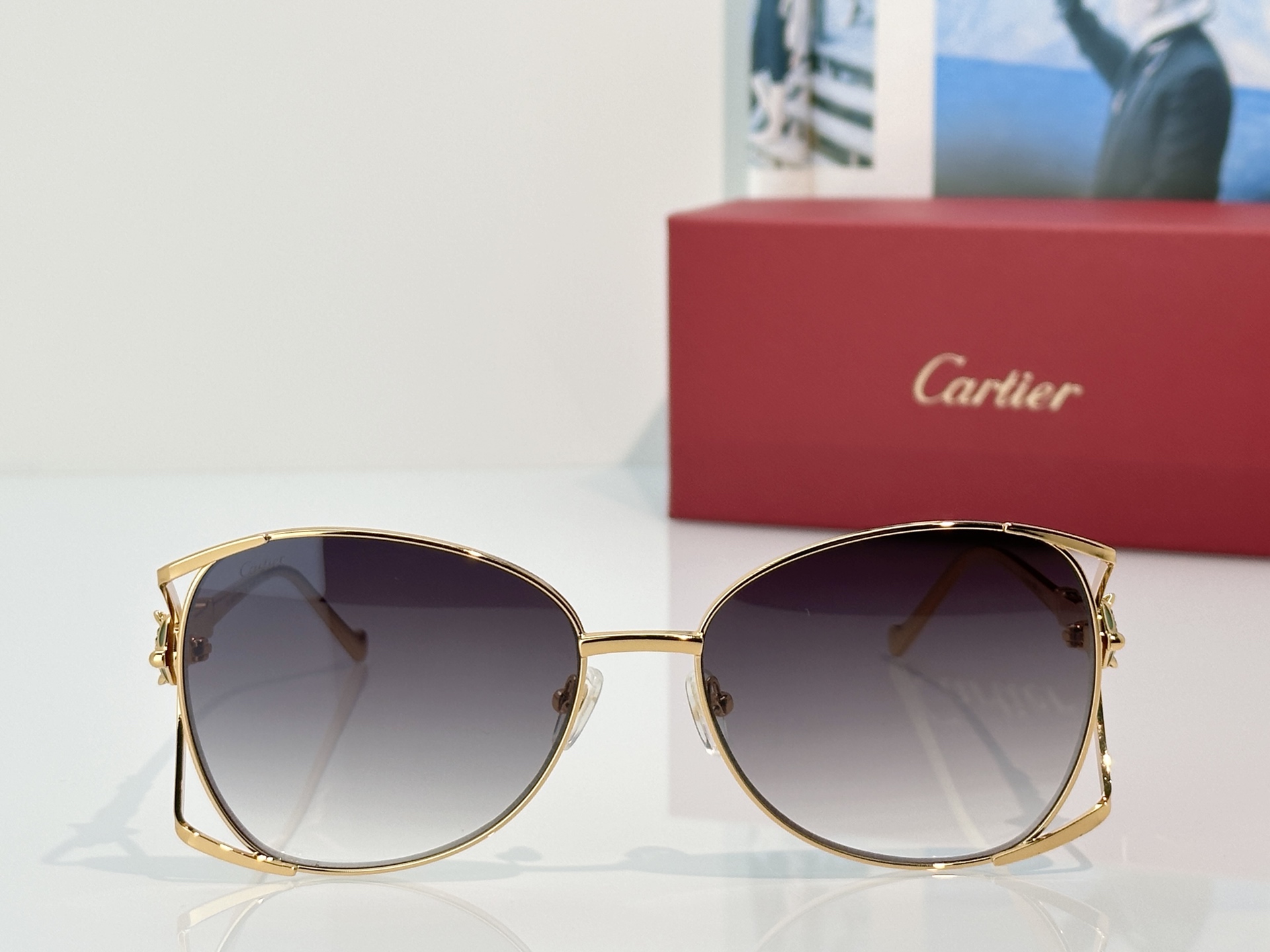 Designer Sunglasses CT02287O