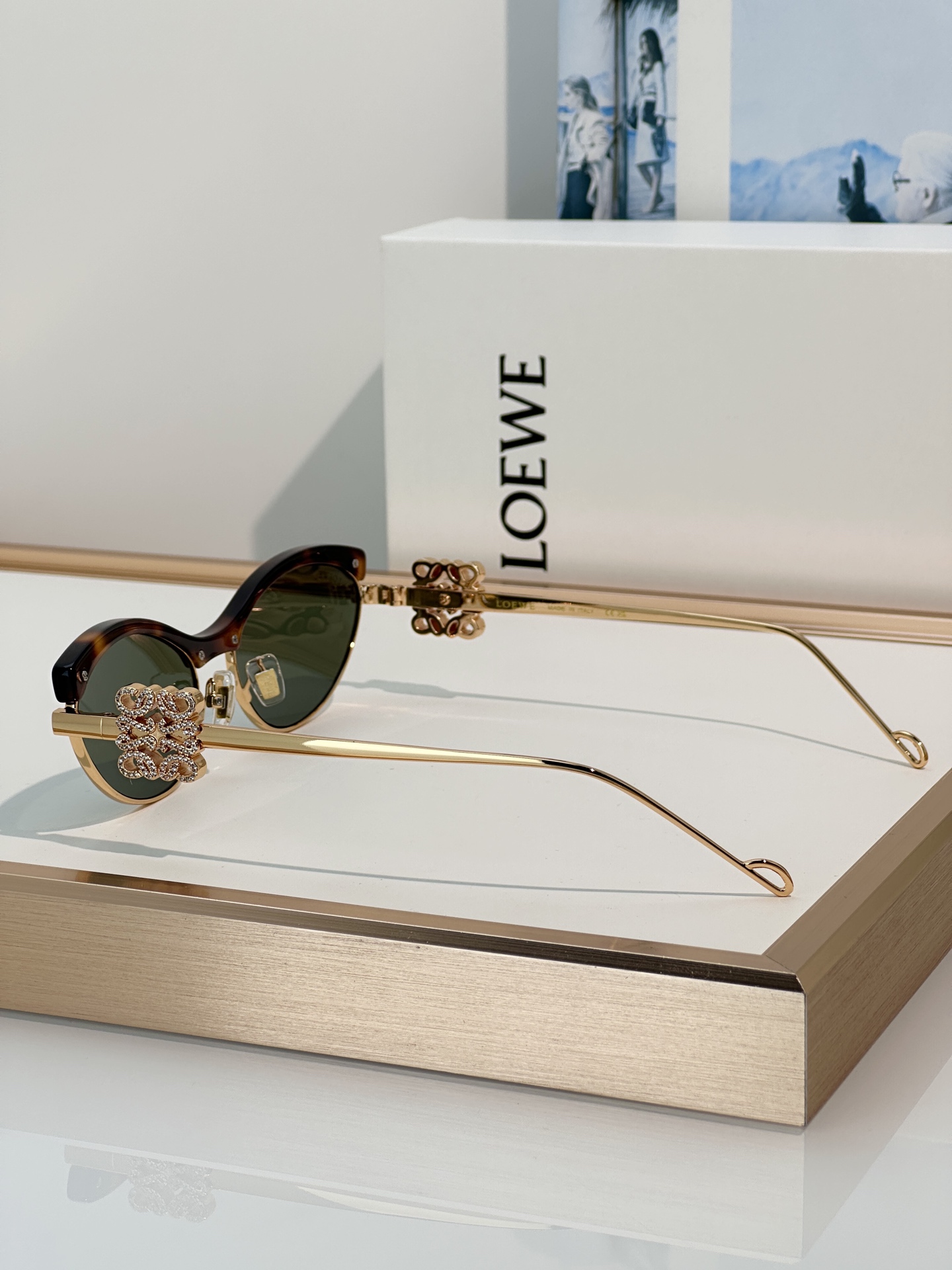 Designer Sunglasses LW1738LS