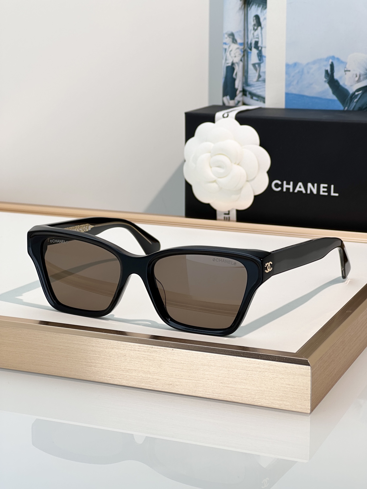 Chanel Sunglasses CH3517