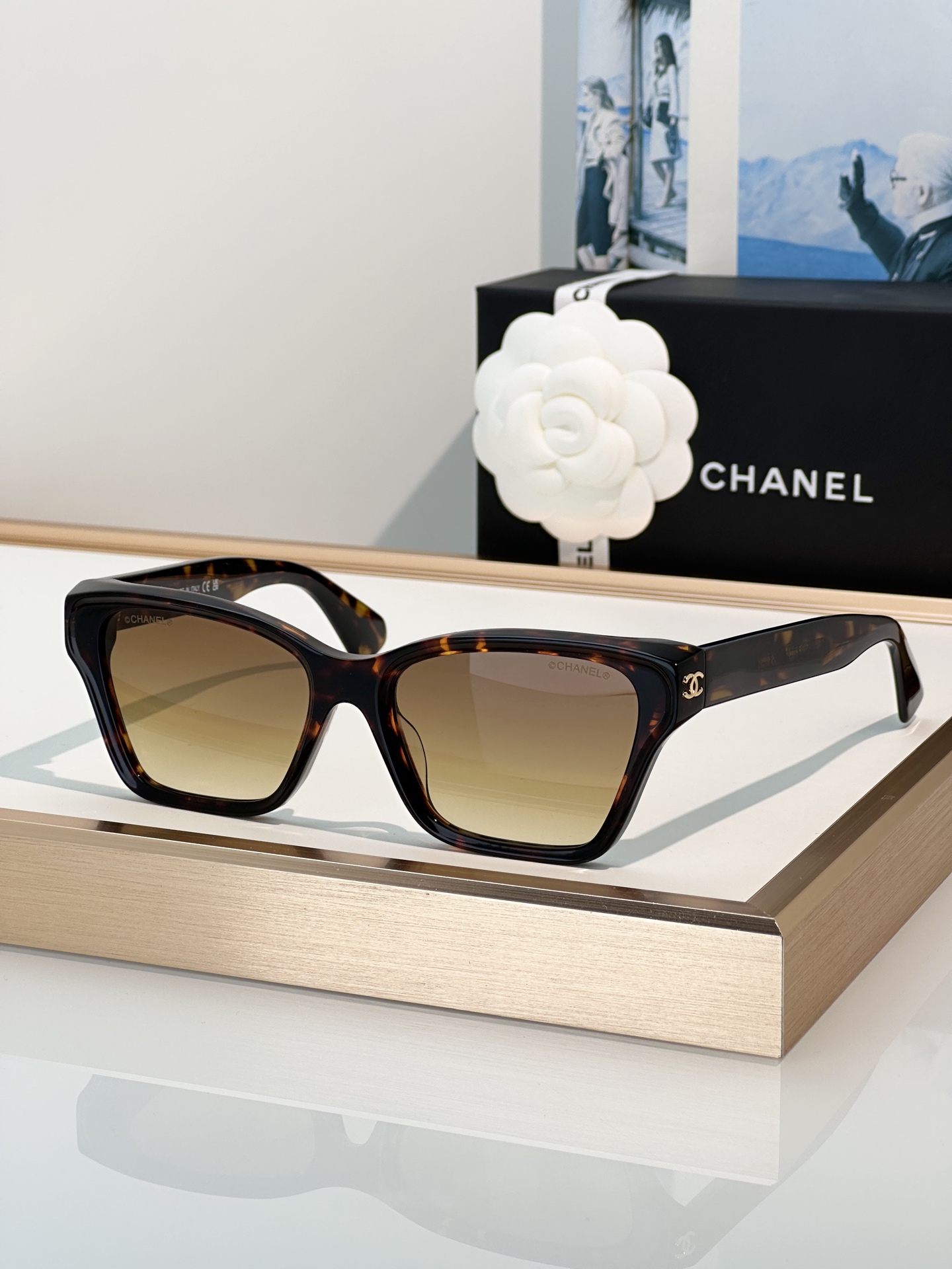 Chanel Sunglasses CH3517