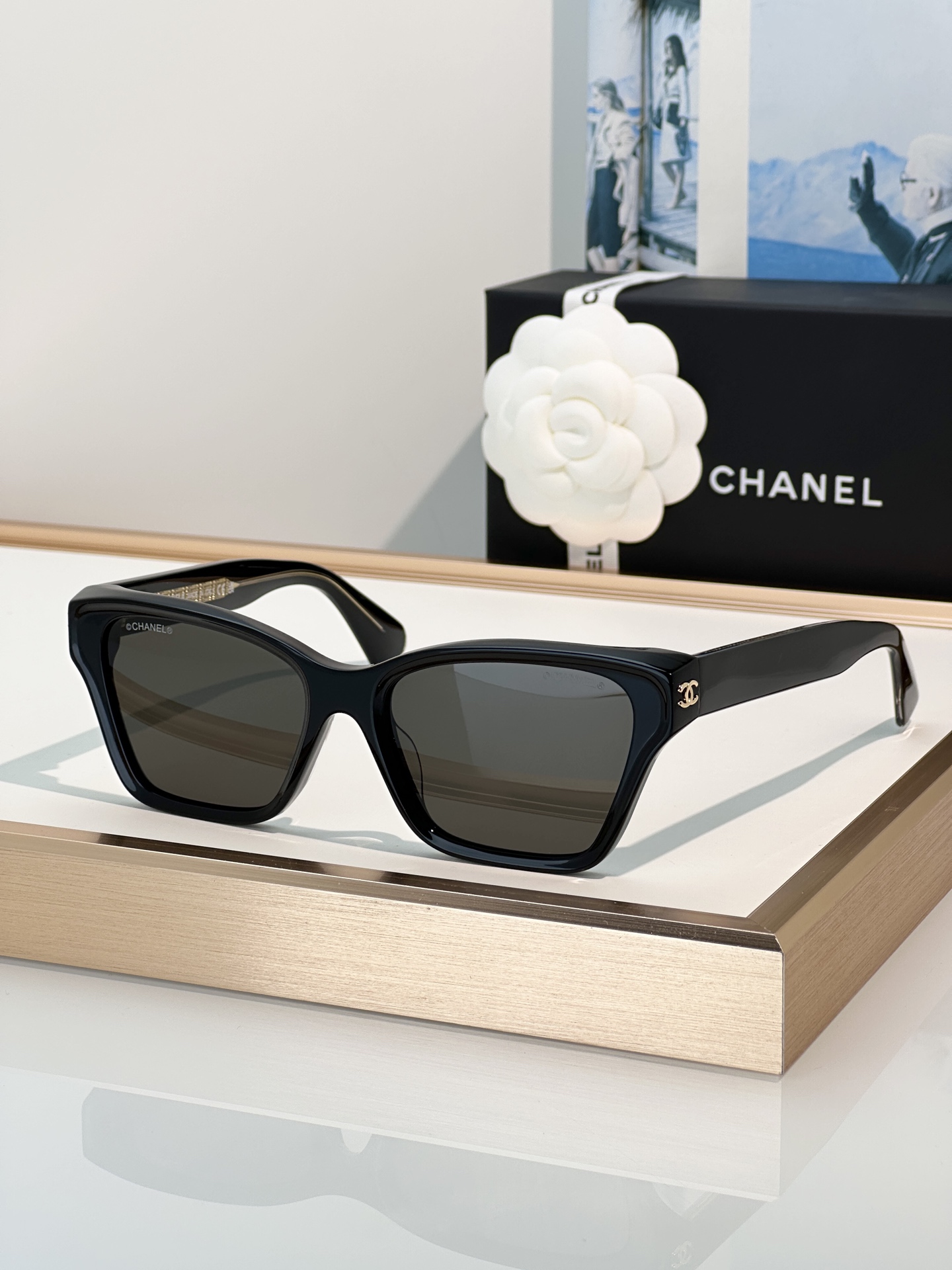 Chanel Sunglasses CH3517
