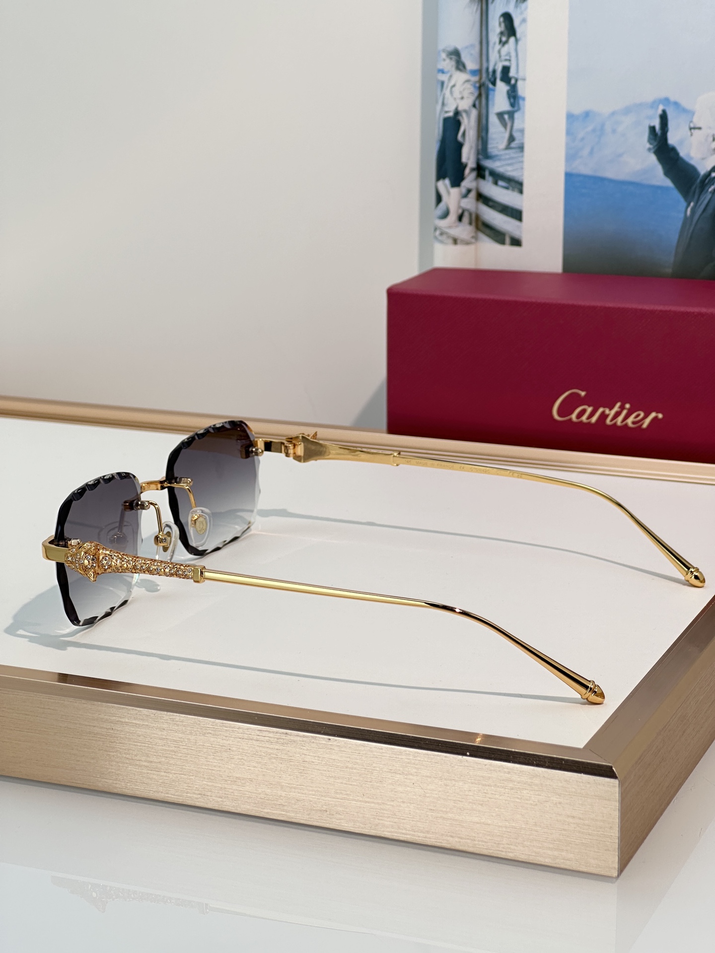 Designer Sunglasses CT1842O