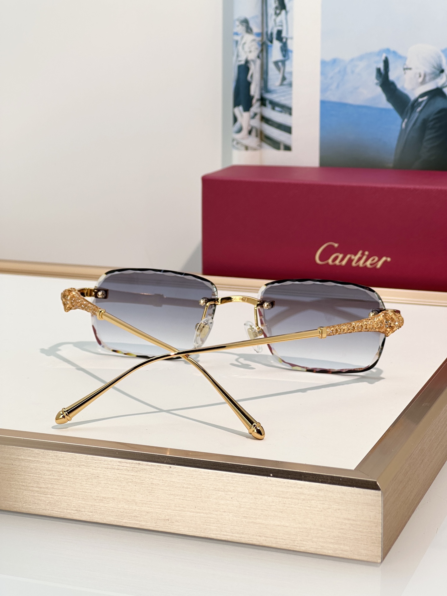 Designer Sunglasses CT1842O