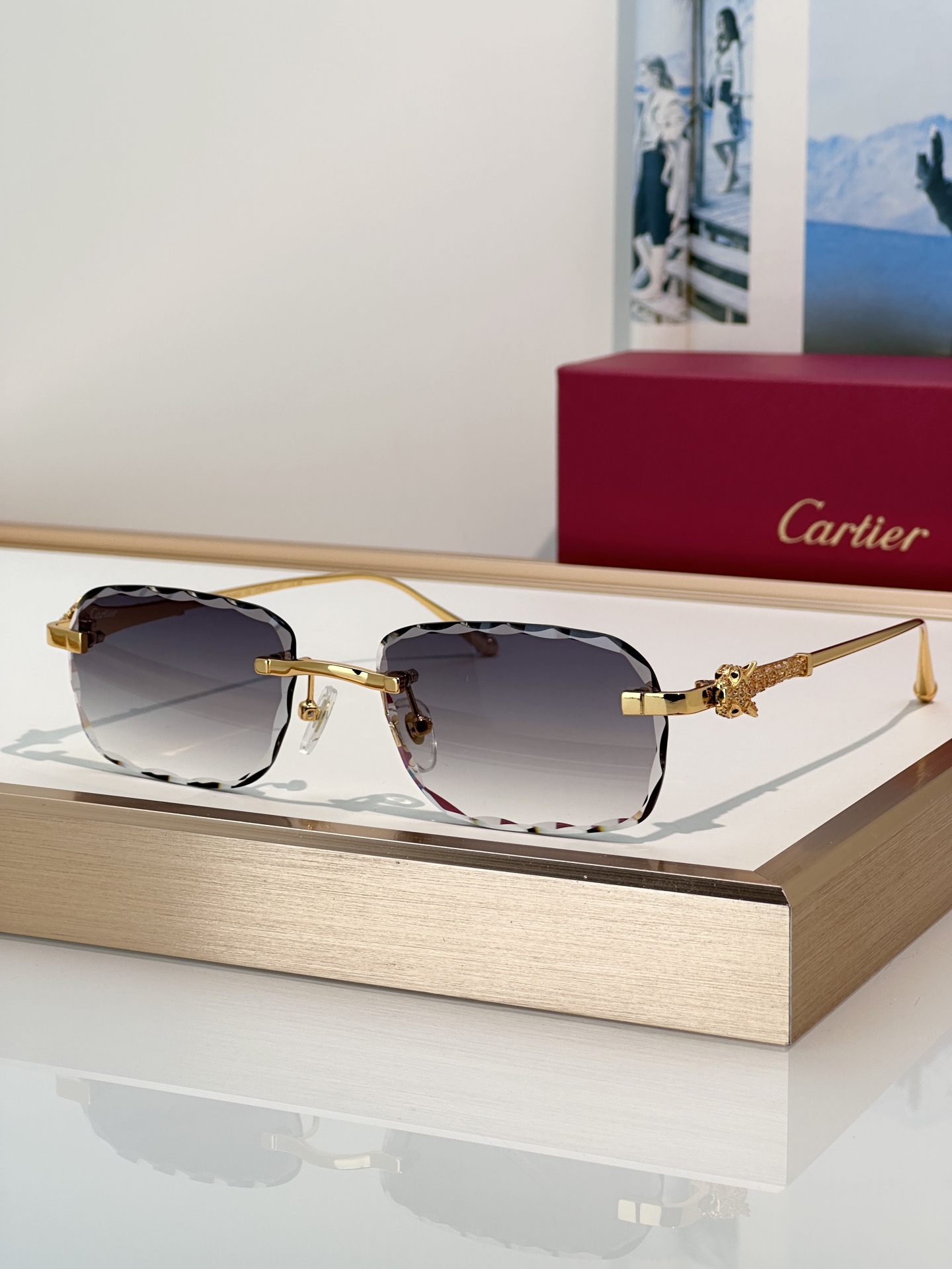 Designer Sunglasses CT1842O