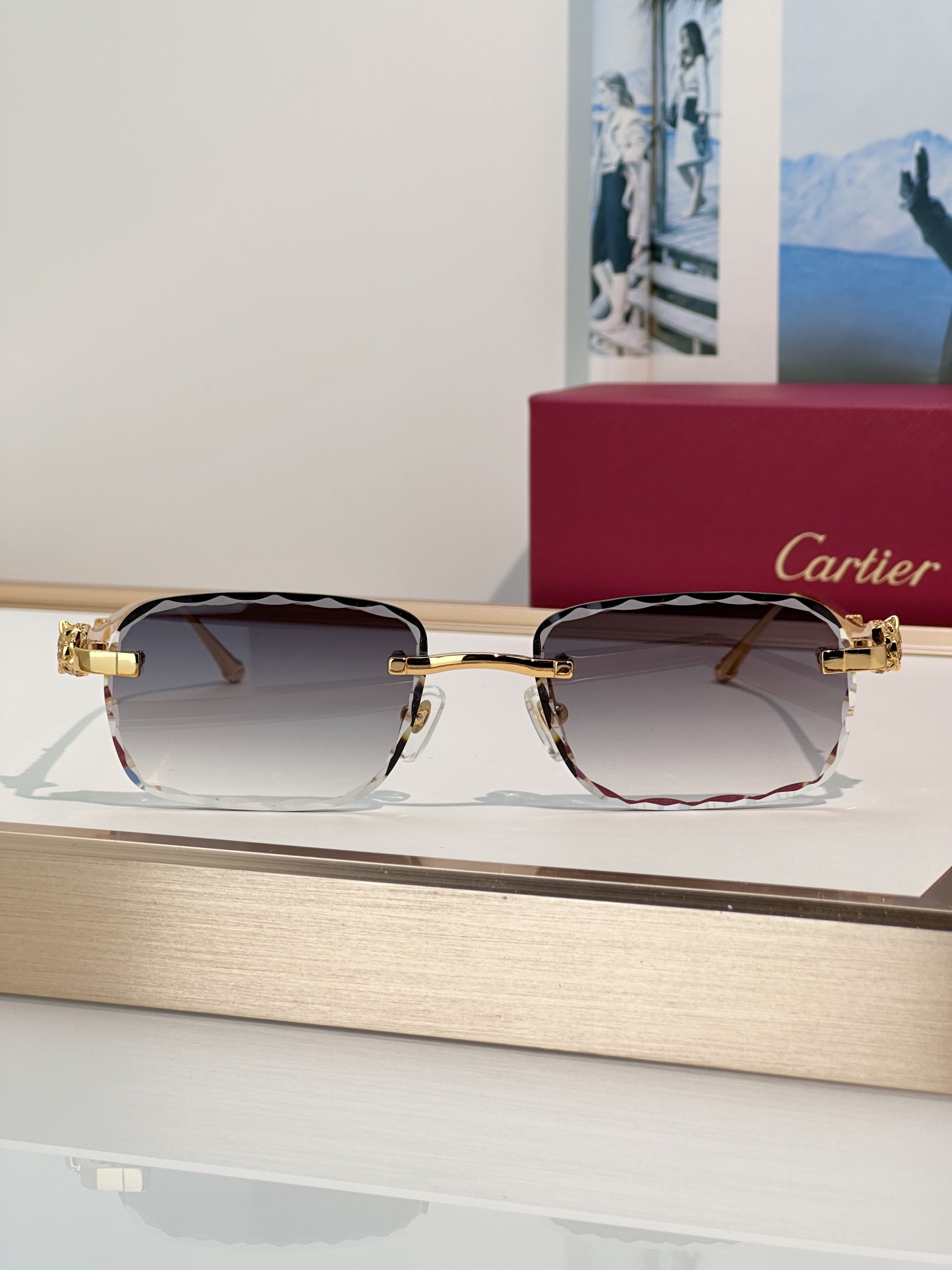 Designer Sunglasses CT1842O