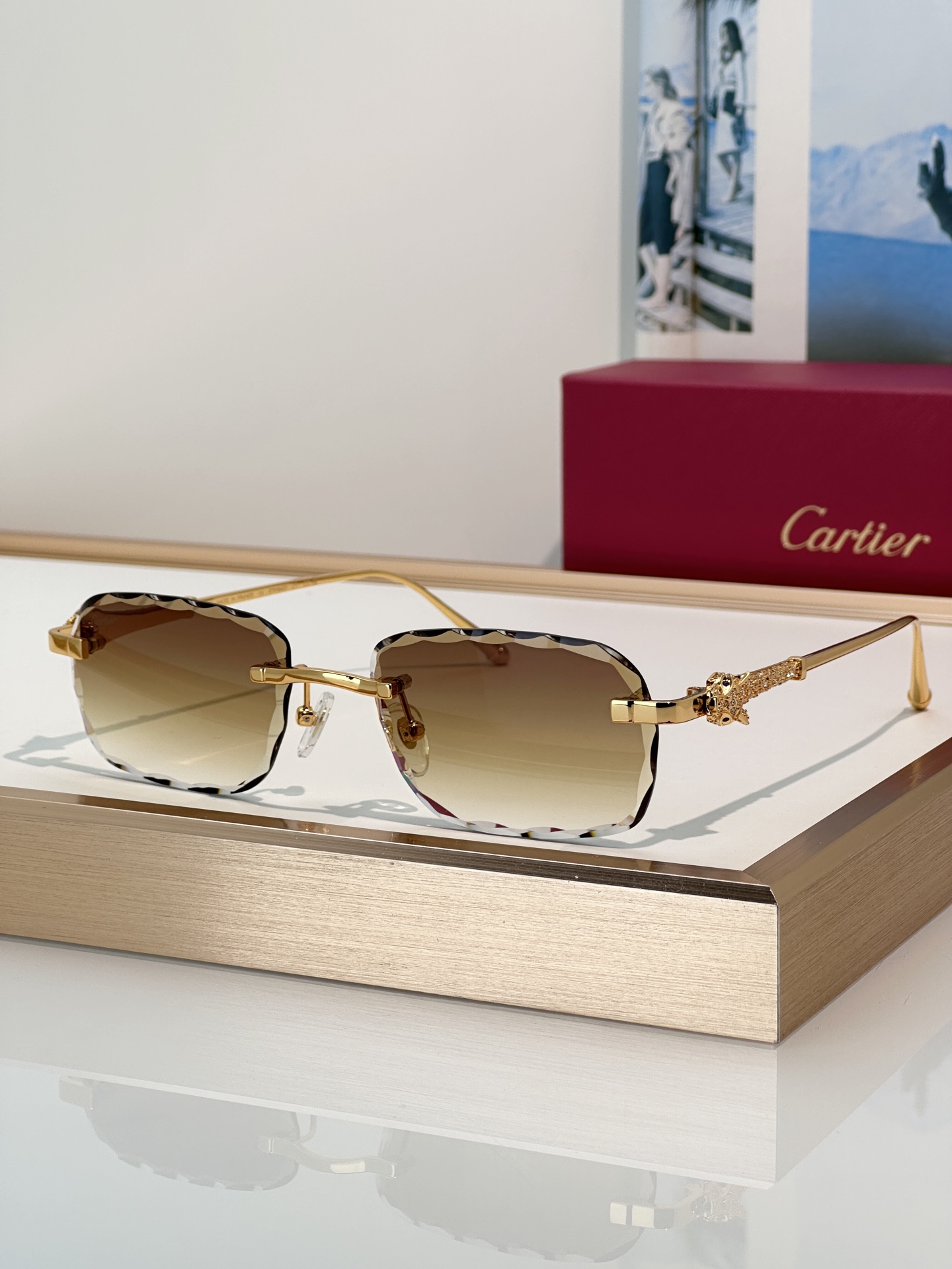 Designer Sunglasses CT1842O