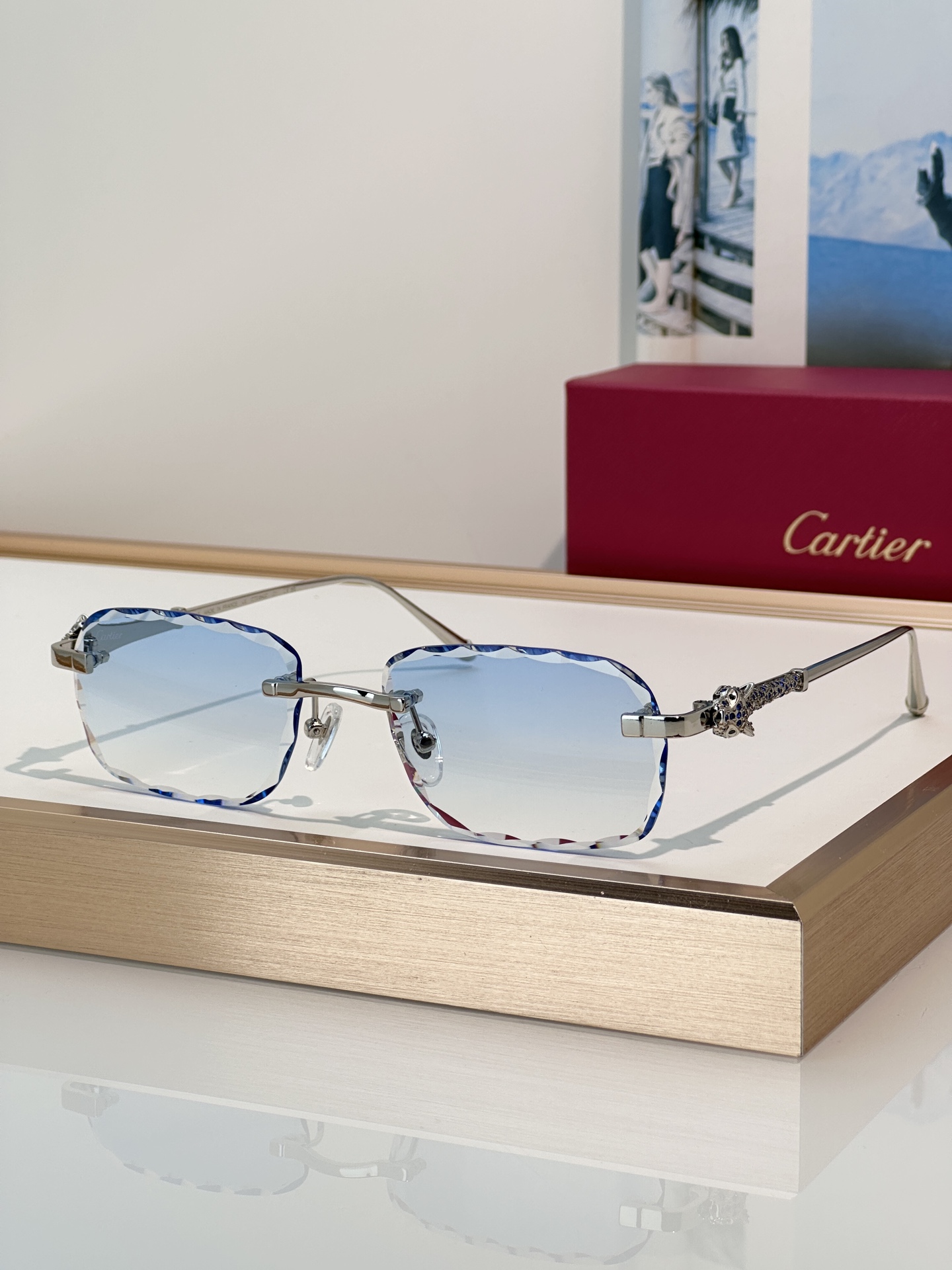 Designer Sunglasses CT1842O