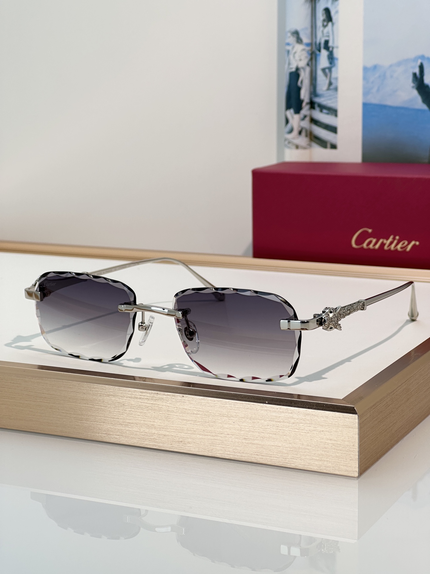 Designer Sunglasses CT1842O