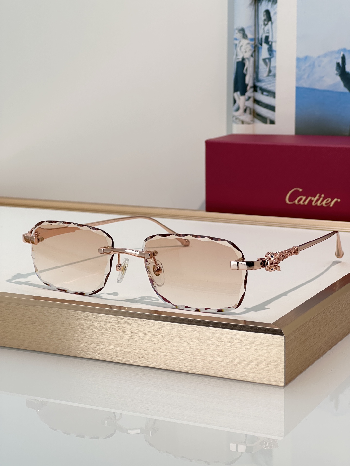 Designer Sunglasses CT1842O