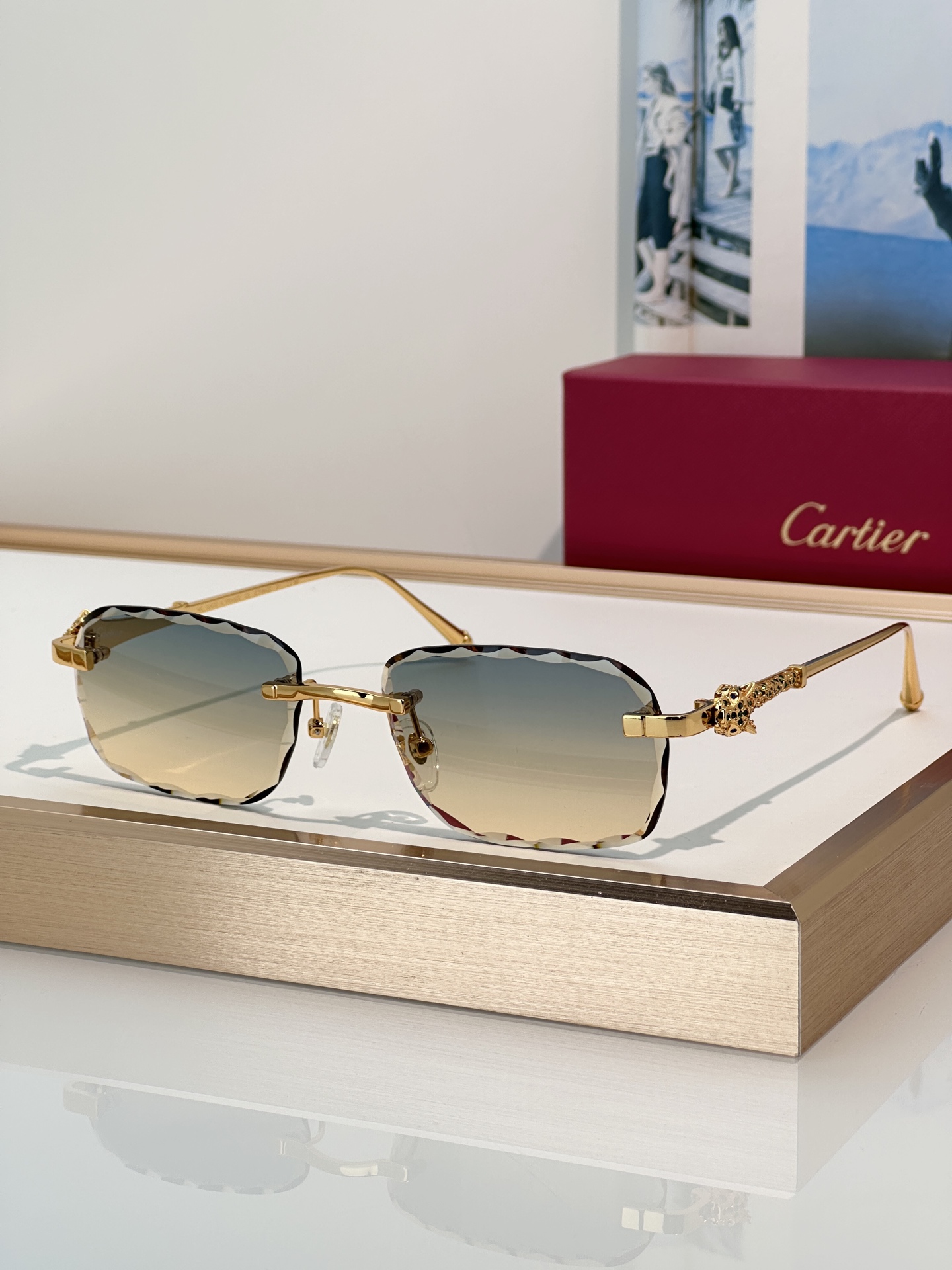 Designer Sunglasses CT1842O