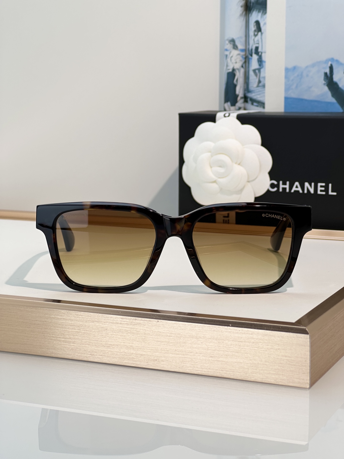 Chanel Sunglasses CH3513