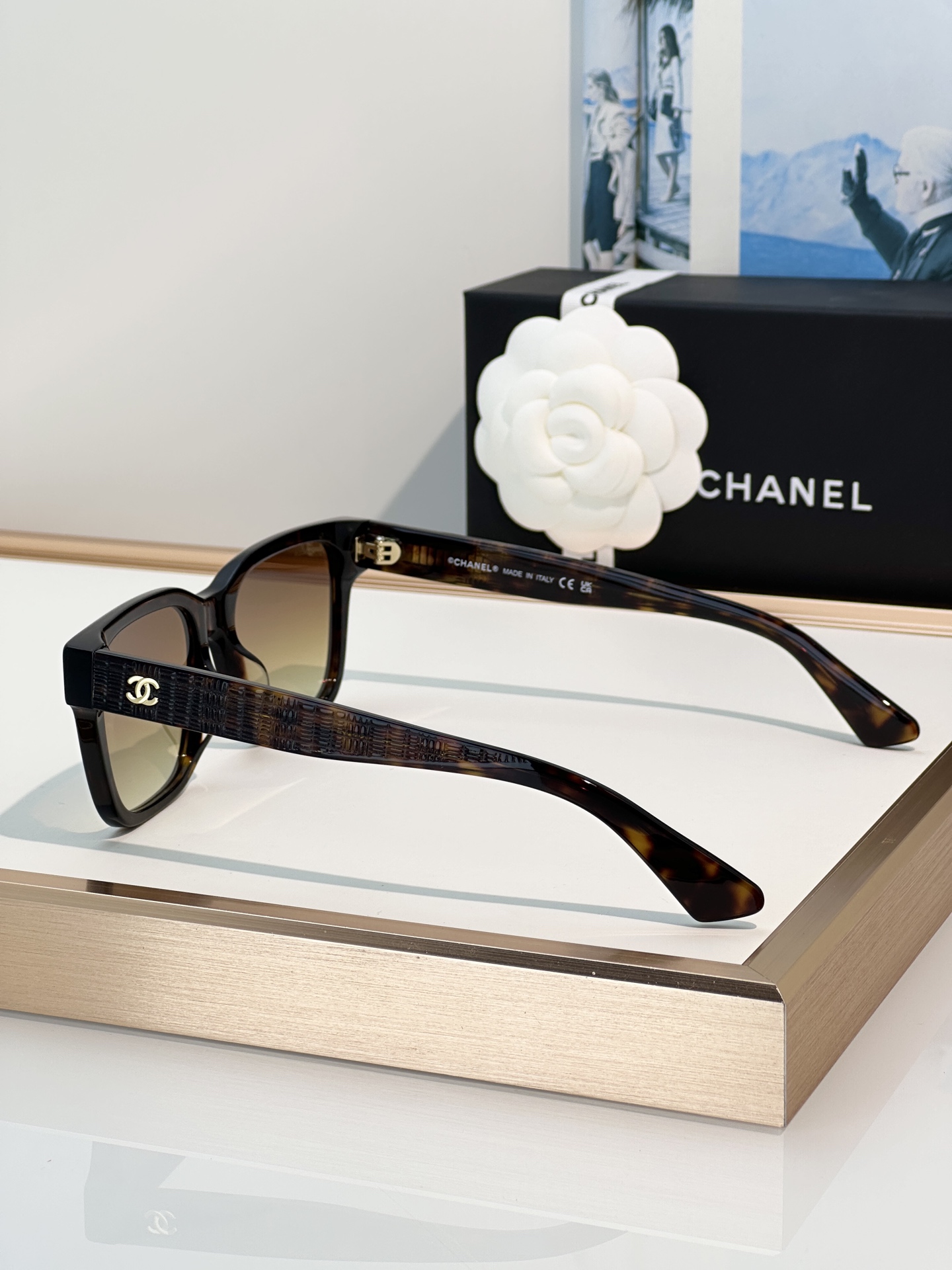 Chanel Sunglasses CH3513