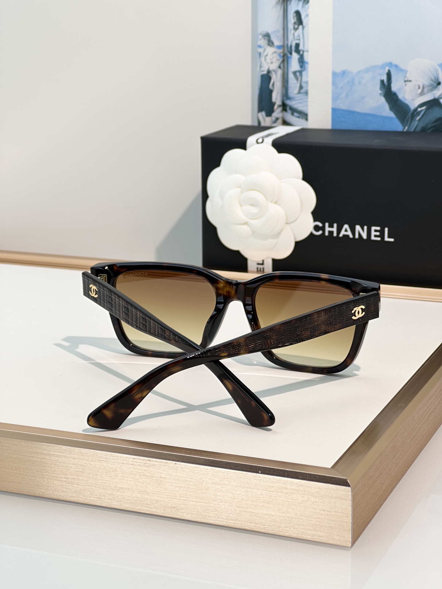 Chanel Sunglasses CH3513